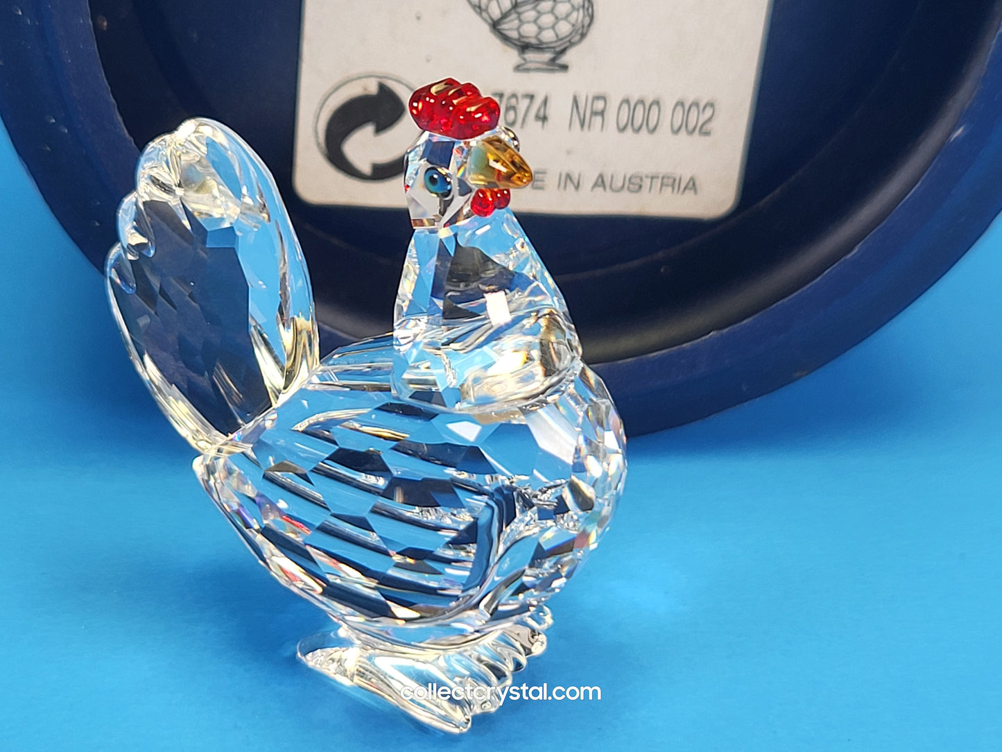 HEN (with color) 608721
