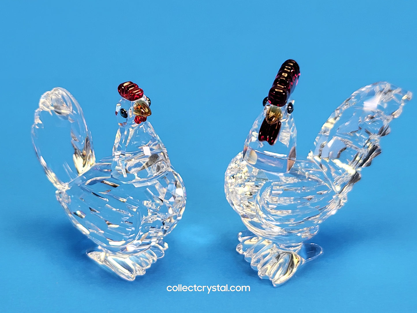 HEN (with color) 608721