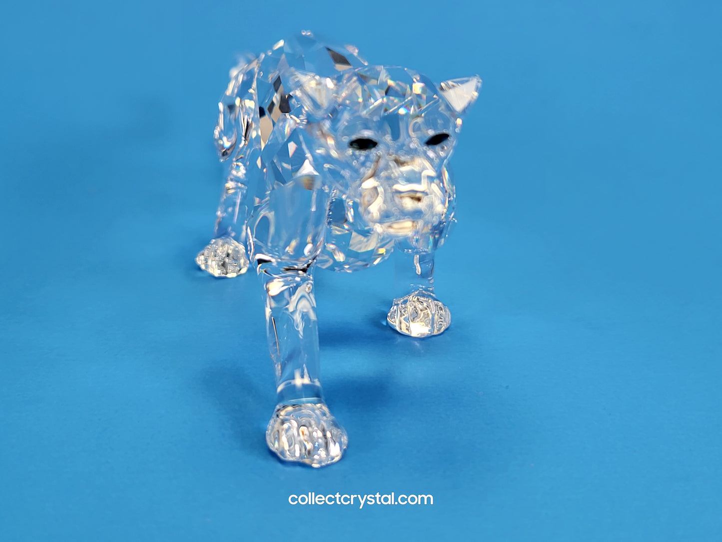 LEOPARD, Jaguar Panther Big Cat figurine # 217093 Set of 4 (No Boxes)