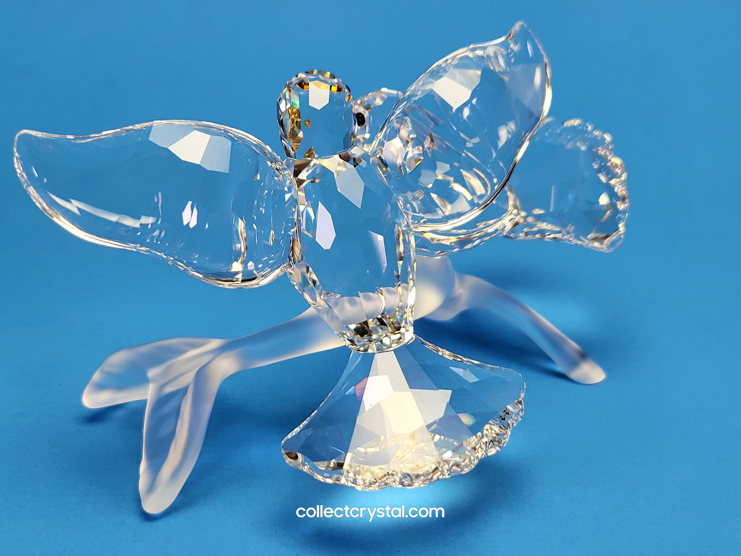 TURTLEDOVES / TURTLE DOVES 657378