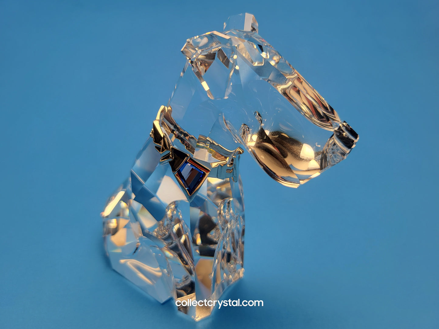 SYMBOLS – DOG 289202