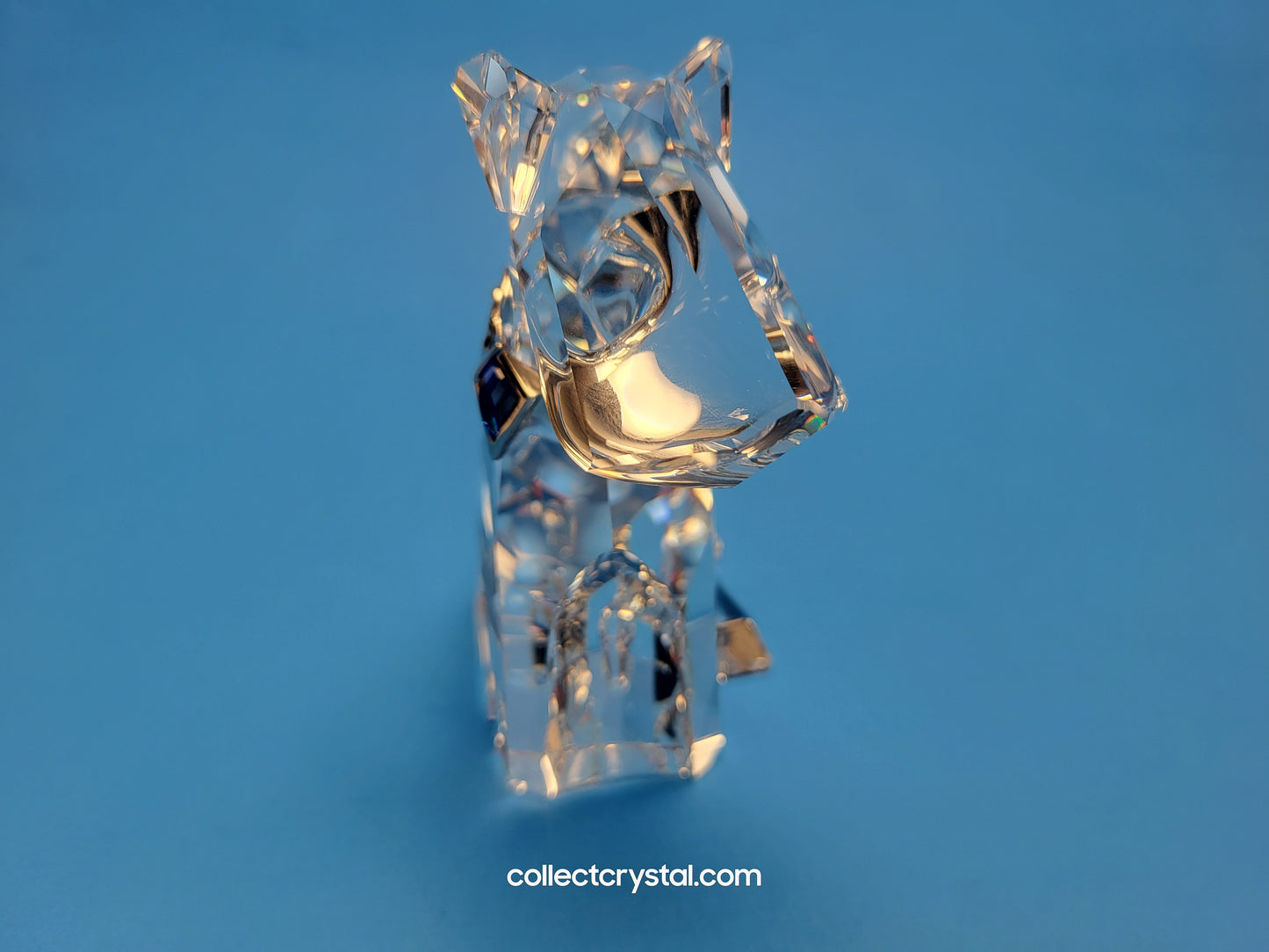 SYMBOLS – DOG 289202