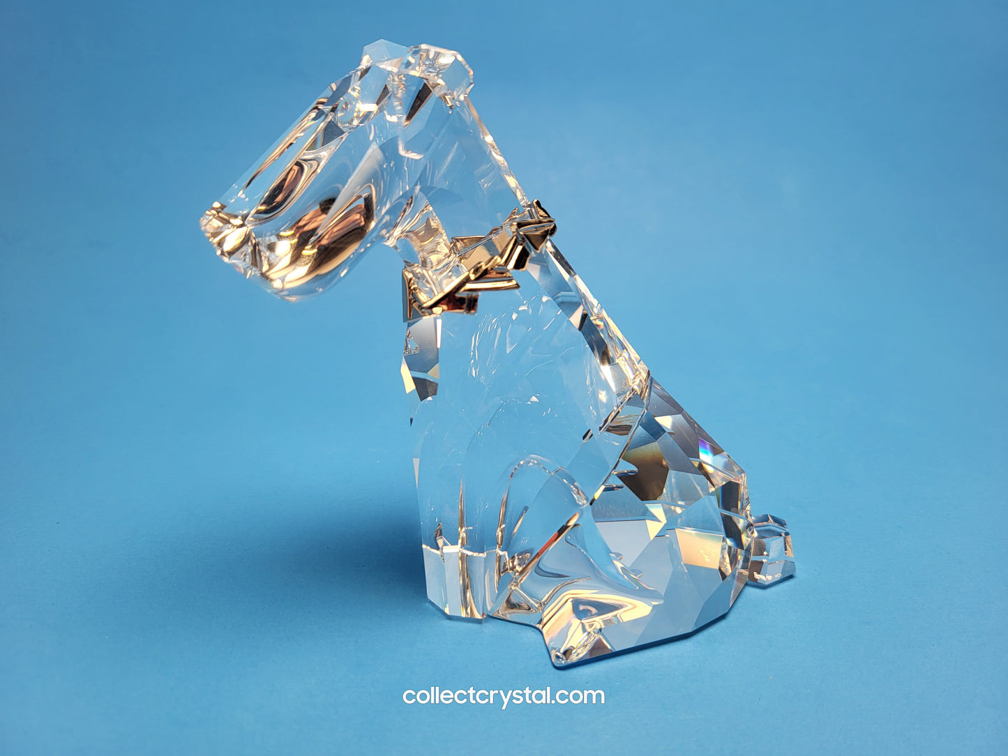 SYMBOLS – DOG 289202