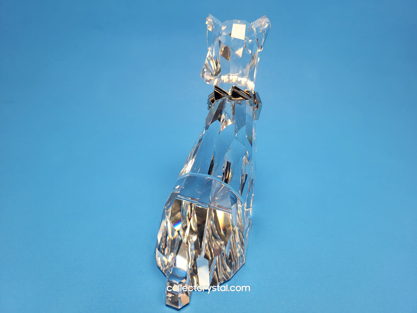 SYMBOLS – DOG 289202