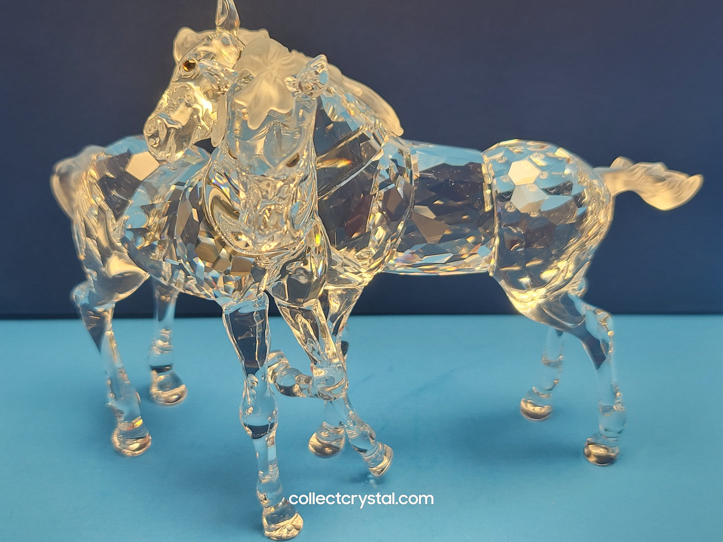 PLAYING FOALS # 627637 PONY HORSES - Clear