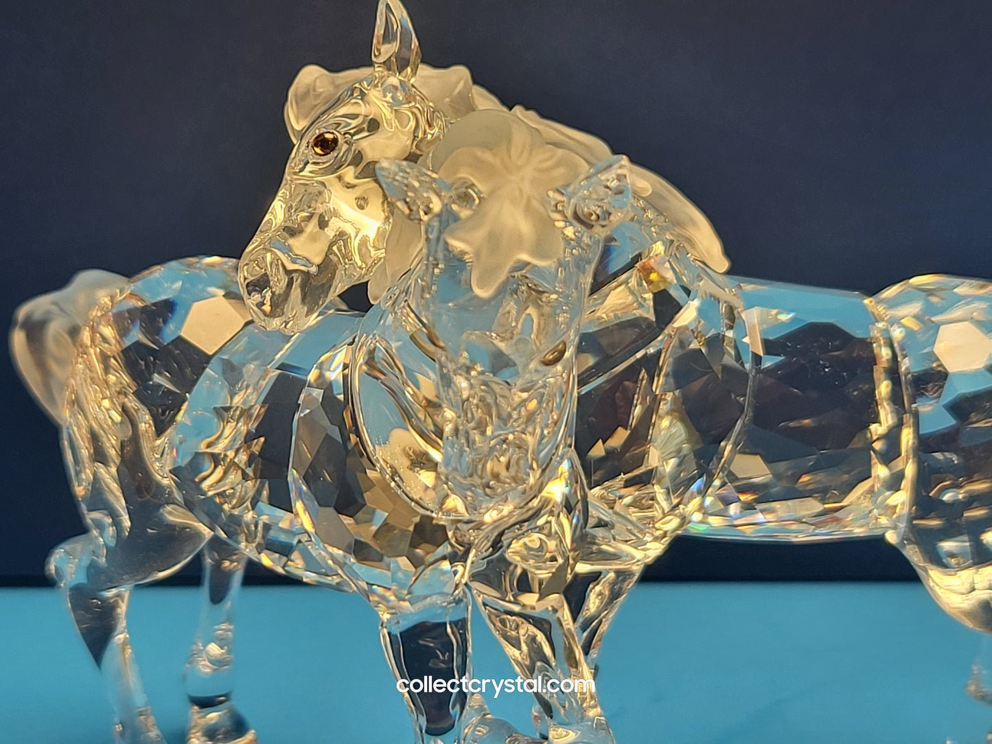 PLAYING FOALS # 627637 PONY HORSES - Clear