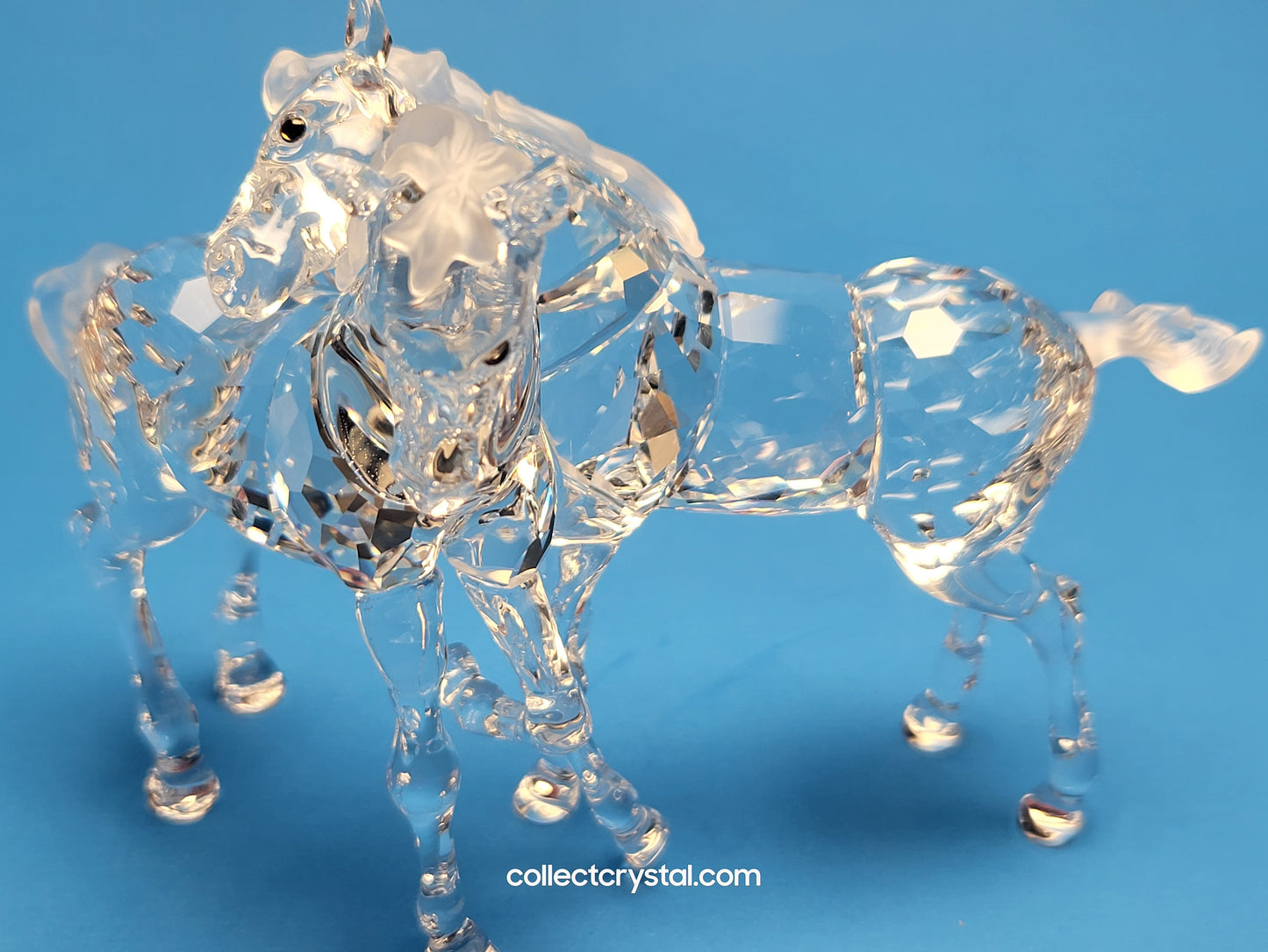 PLAYING FOALS # 627637 PONY HORSES - Clear
