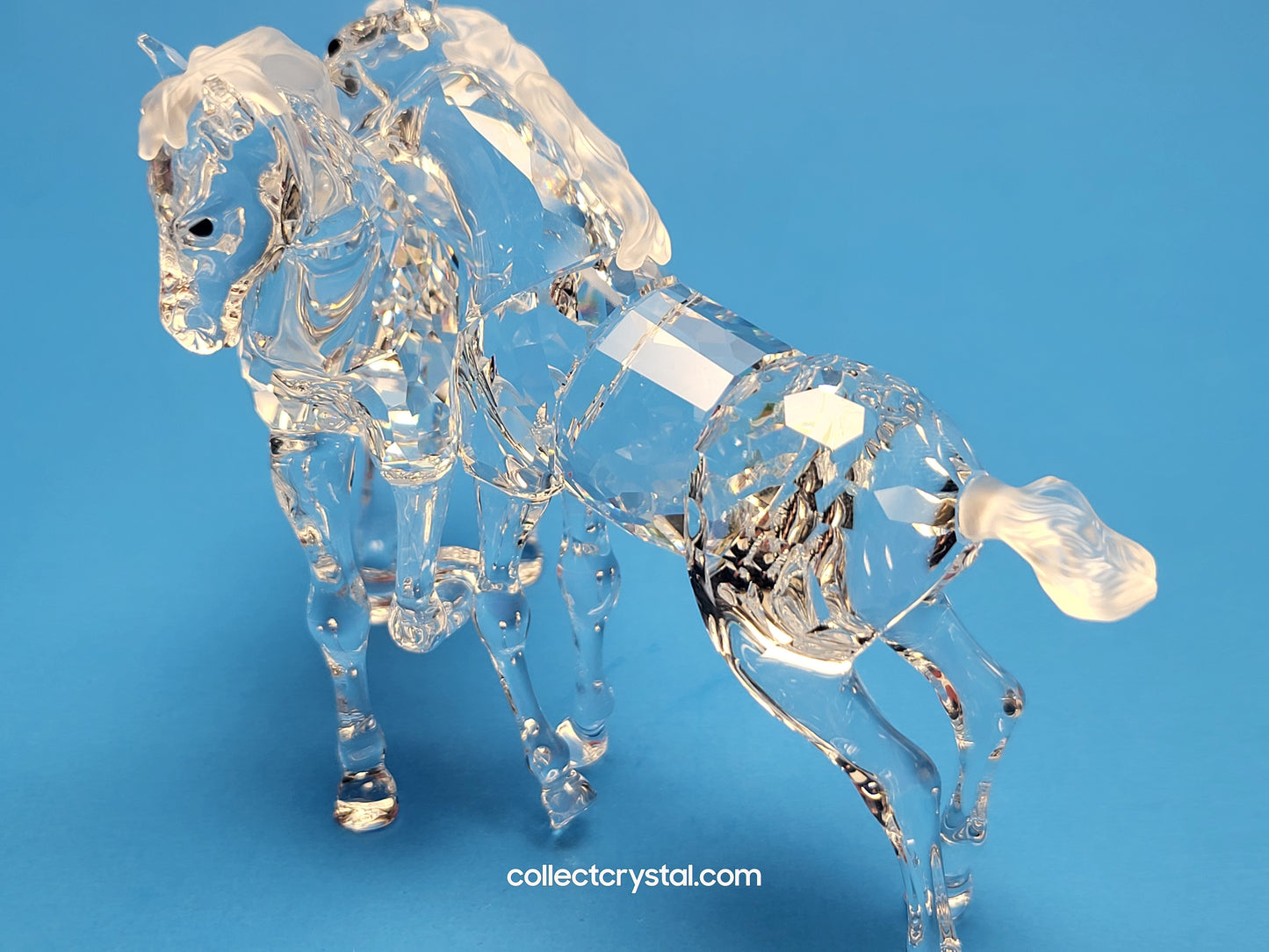 PLAYING FOALS # 627637 PONY HORSES - Clear