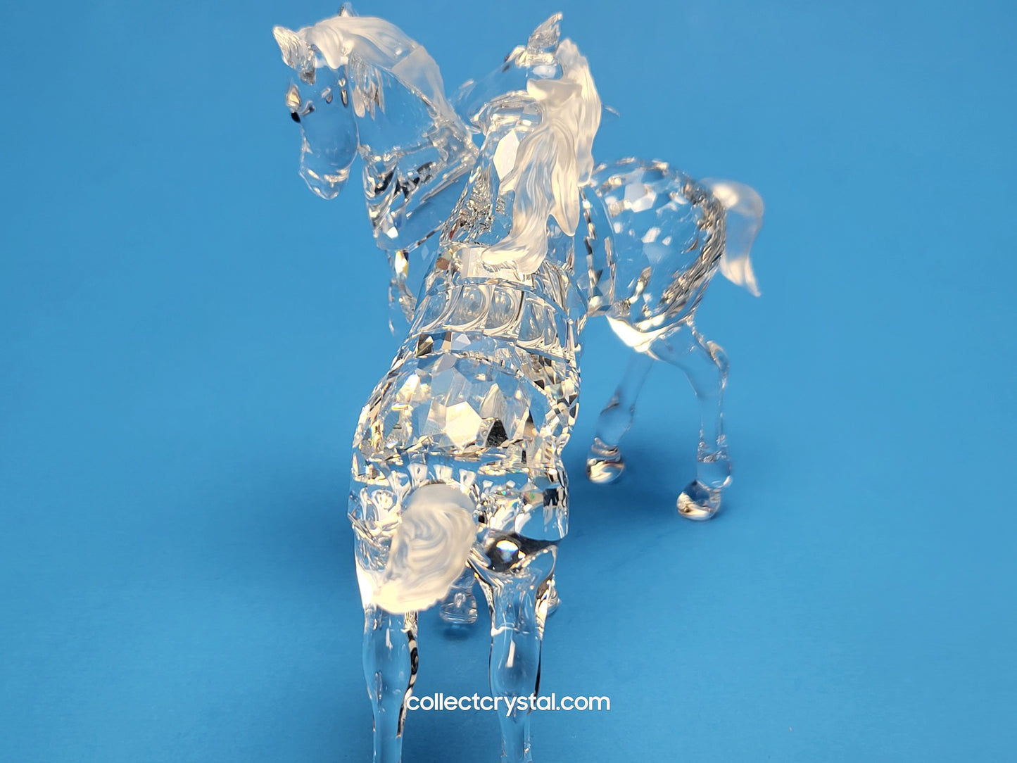 PLAYING FOALS # 627637 PONY HORSES - Clear
