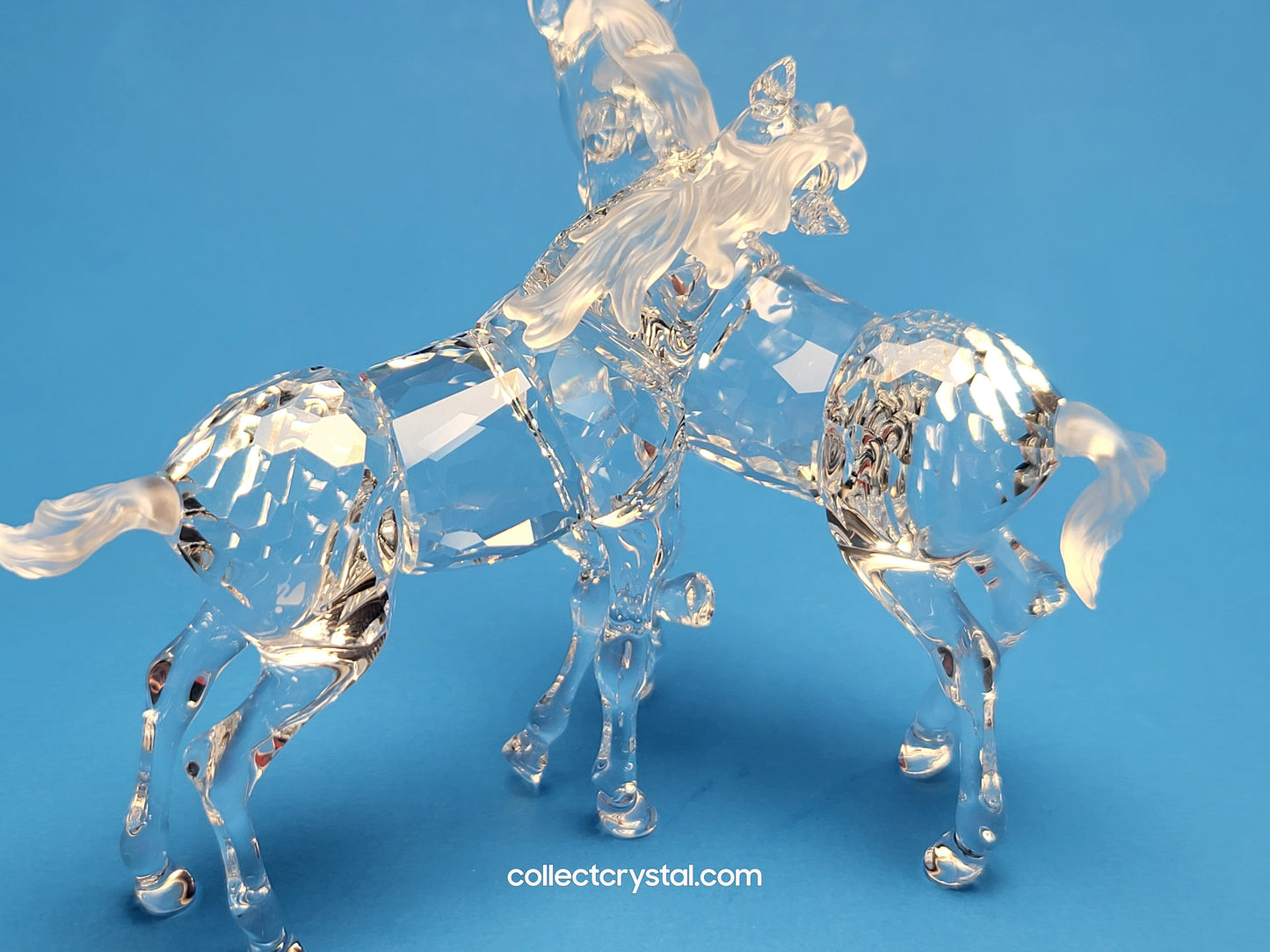 PLAYING FOALS # 627637 PONY HORSES - Clear