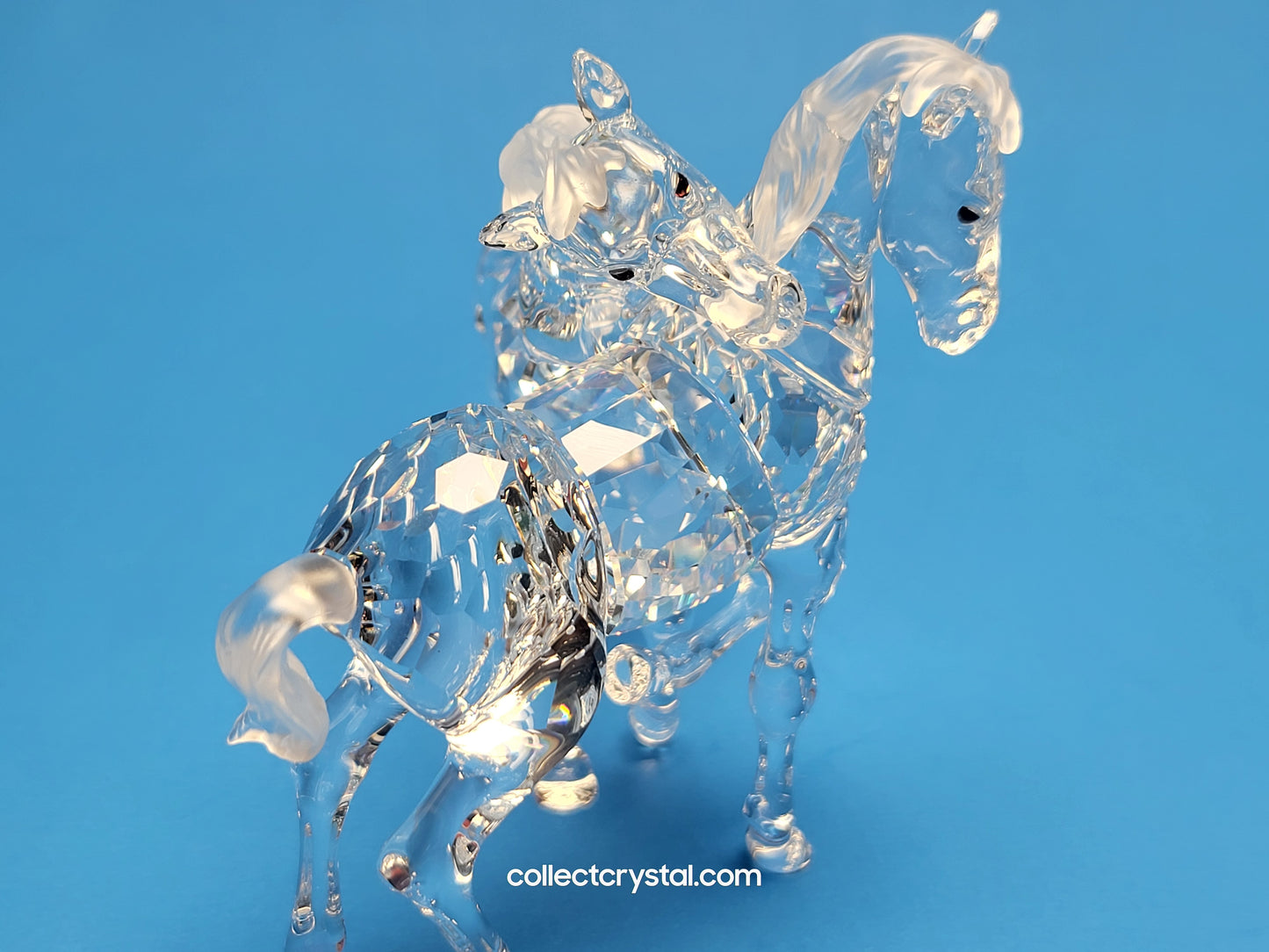 PLAYING FOALS # 627637 PONY HORSES - Clear