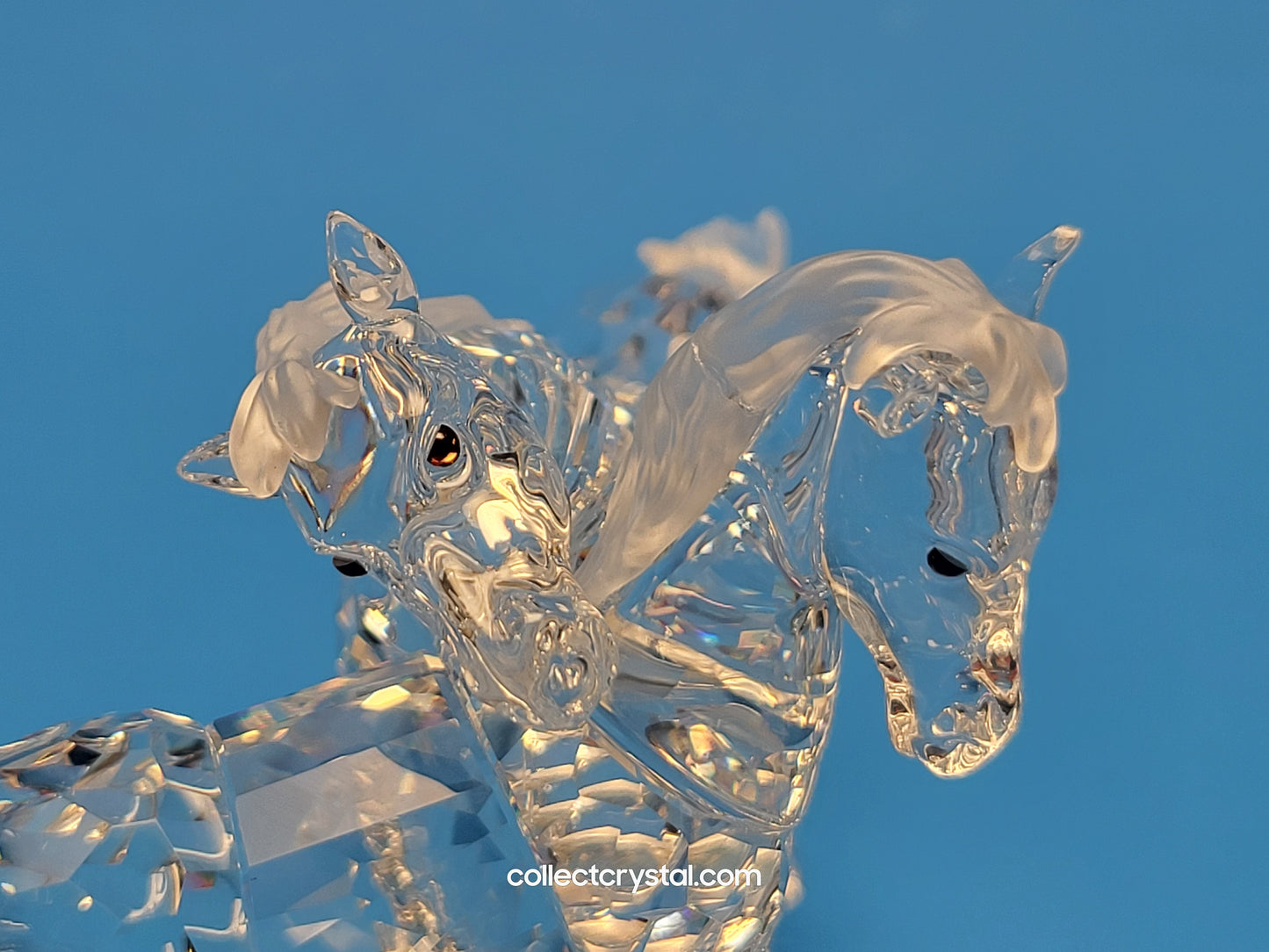PLAYING FOALS # 627637 PONY HORSES - Clear