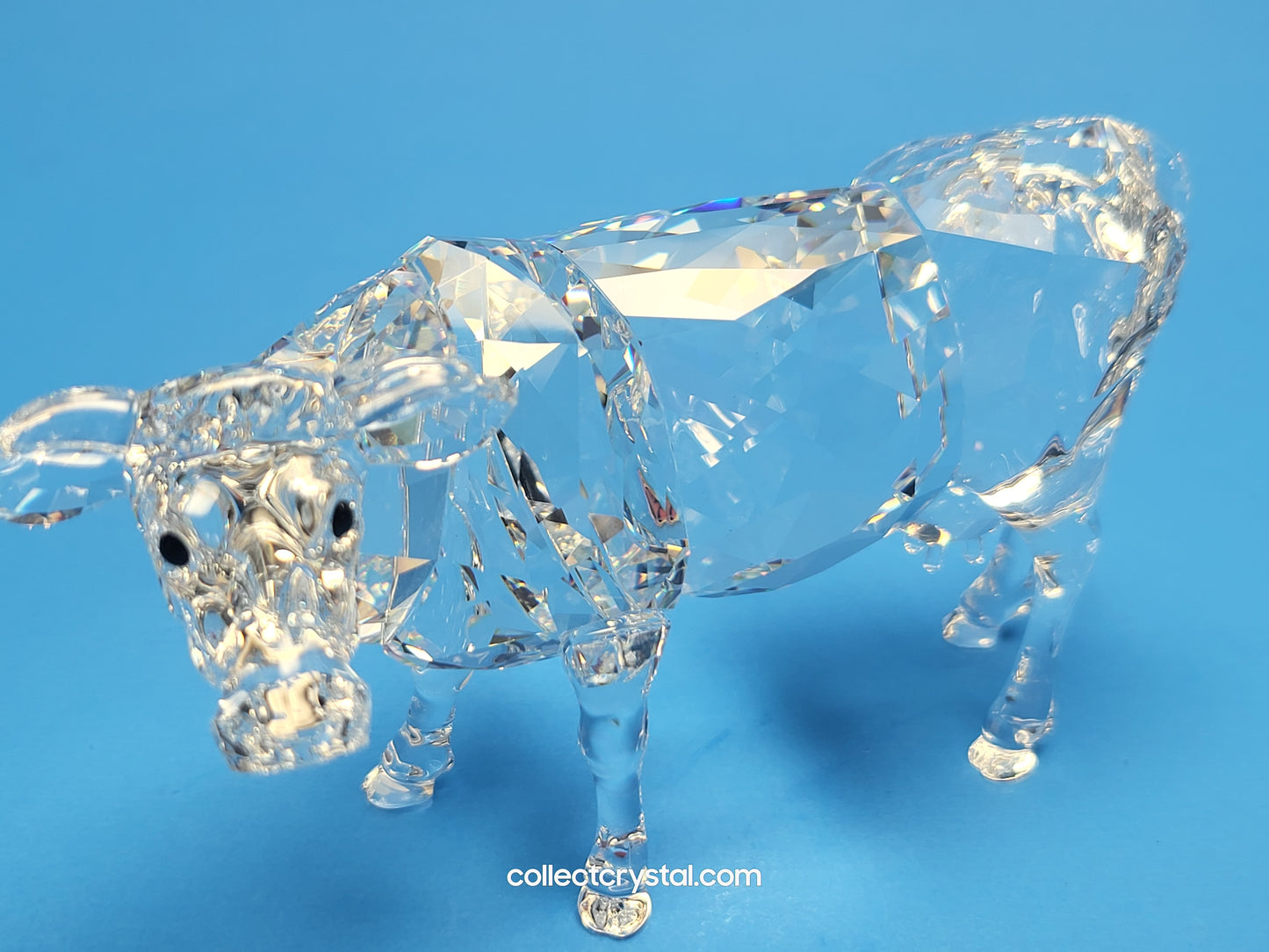 Cow # 905775 Farm Animal Mother