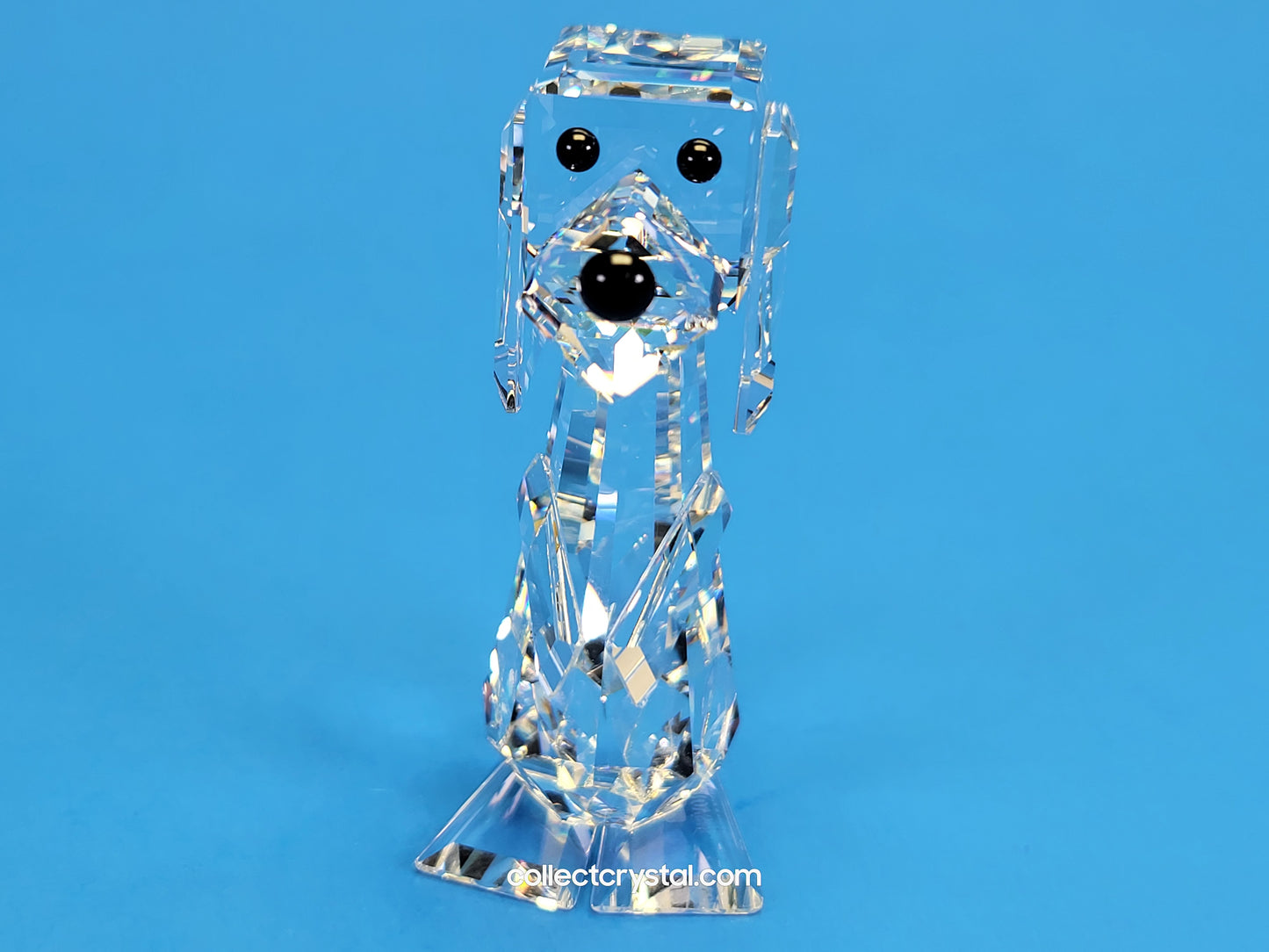Pluto tall dog 010024