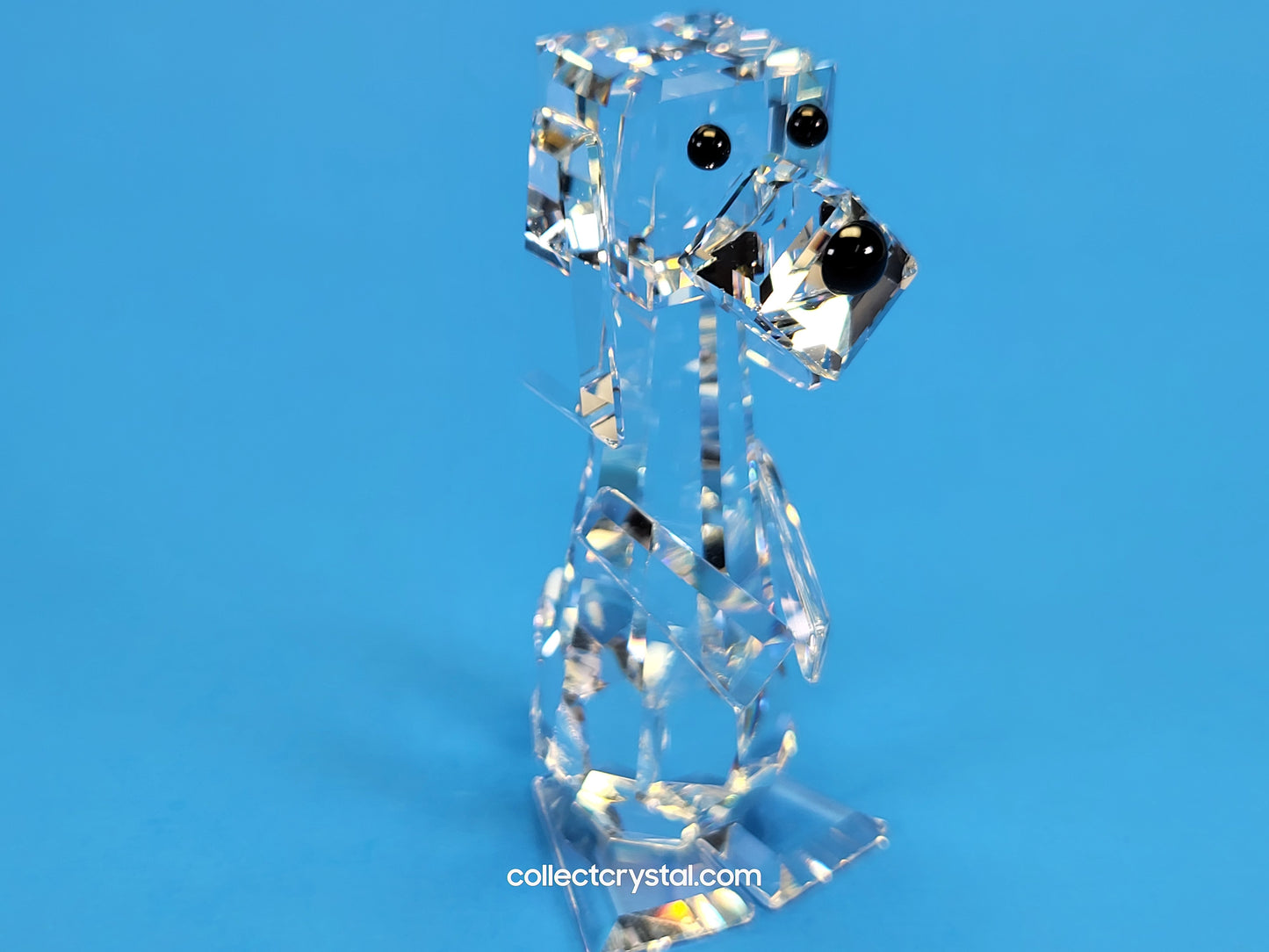 Pluto tall dog 010024
