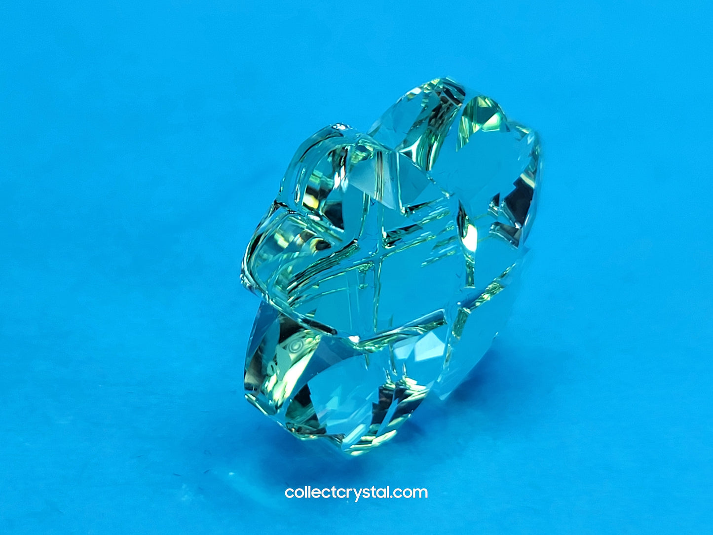 LUCKY CLOVER 1054588