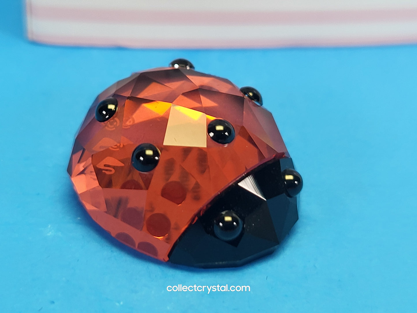 LUCKY LADYBIRD / LADYBUG 1054587