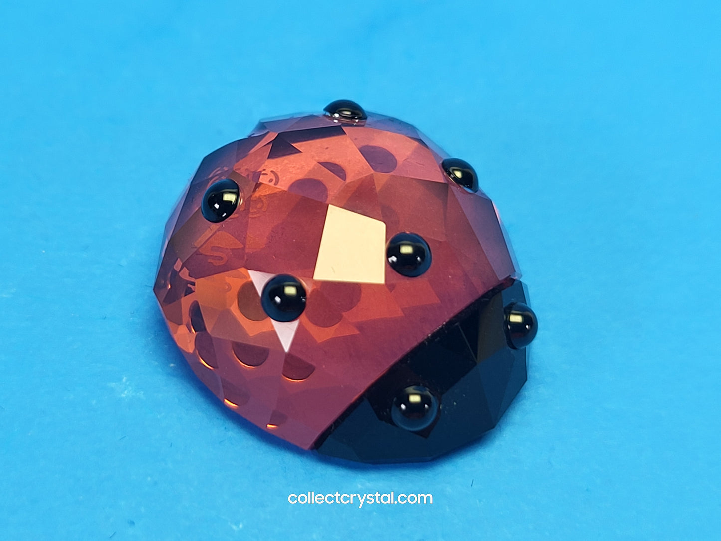 LUCKY LADYBIRD / LADYBUG 1054587