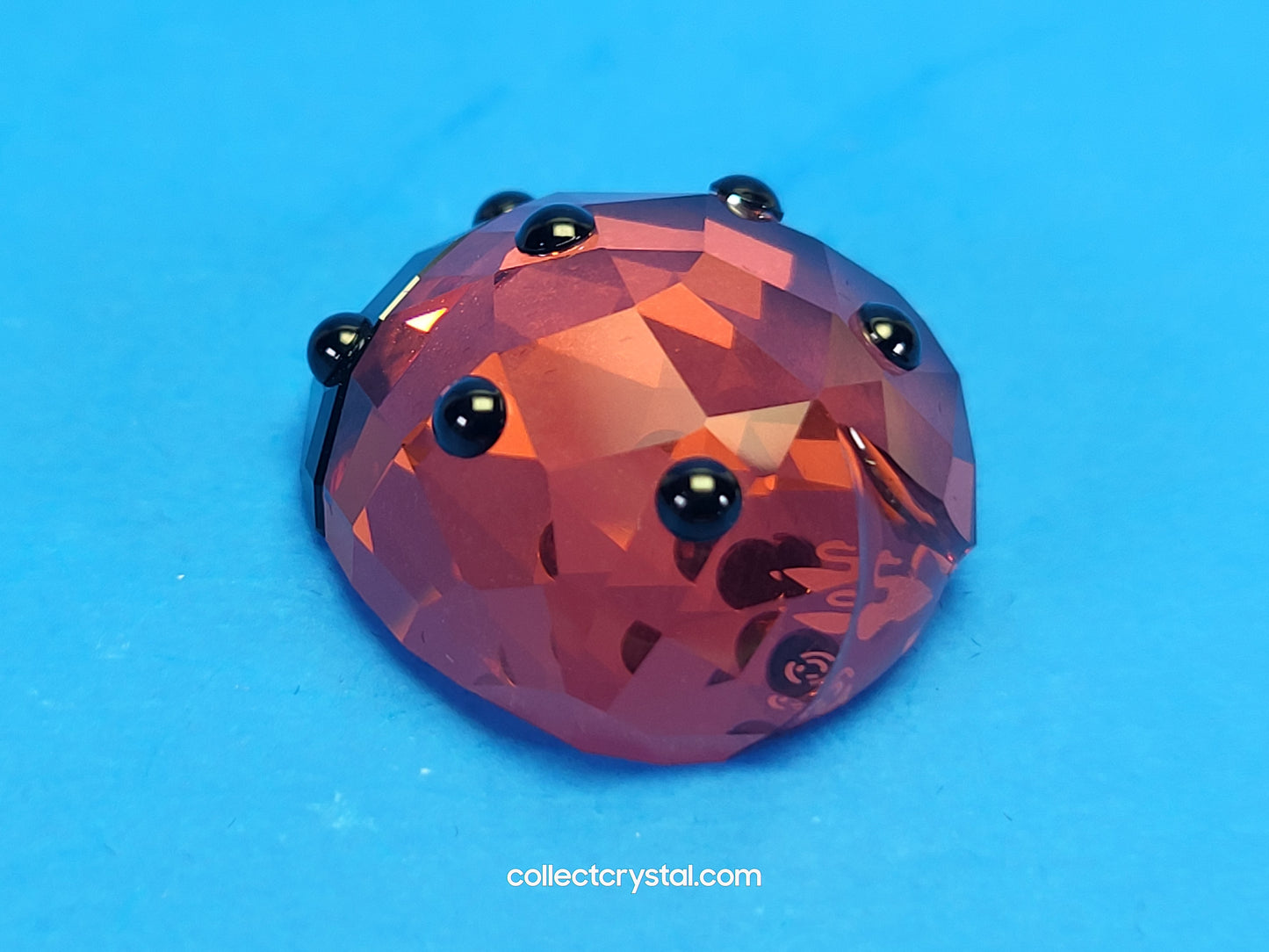 LUCKY LADYBIRD / LADYBUG 1054587