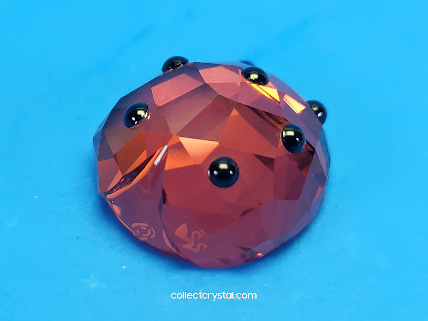 LUCKY LADYBIRD / LADYBUG 1054587