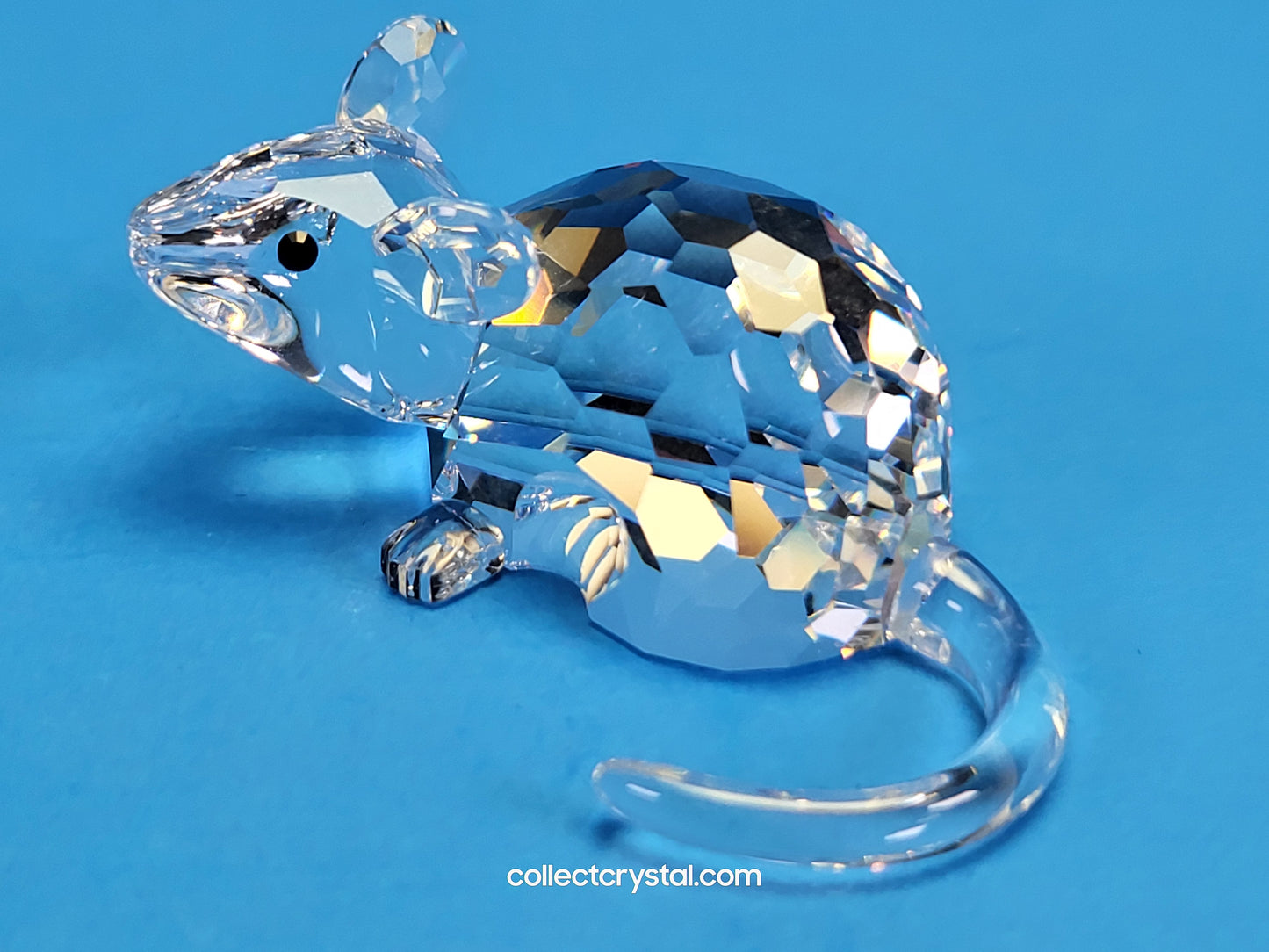 ZODIAC RAT 275436