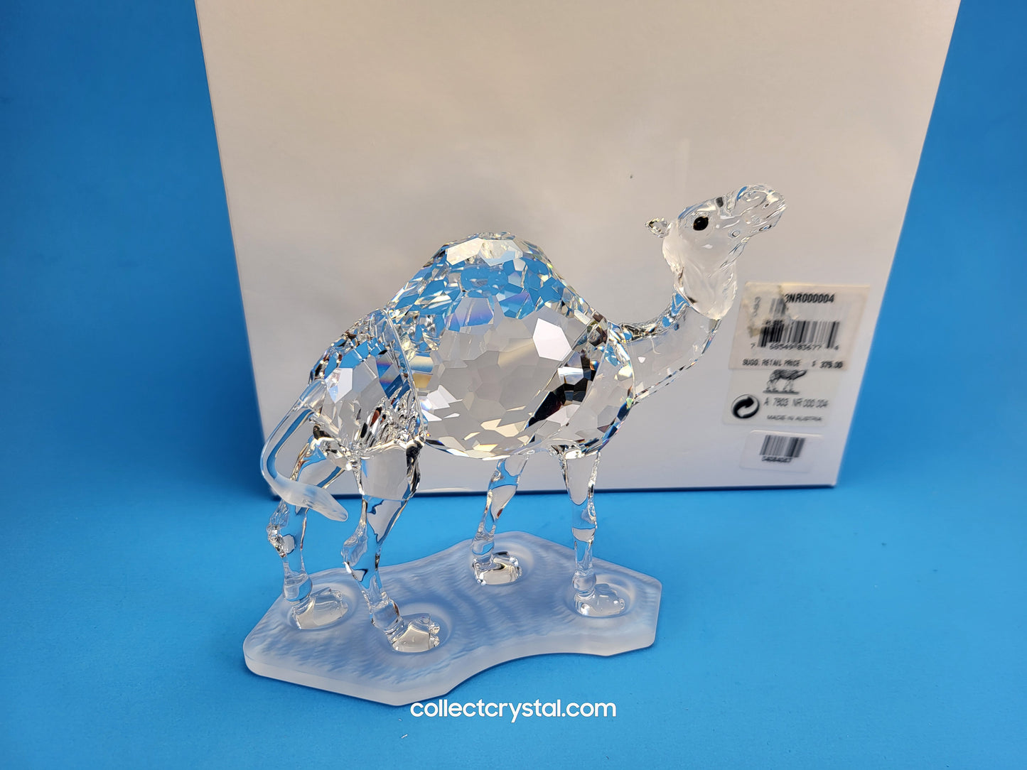CAMEL 247683