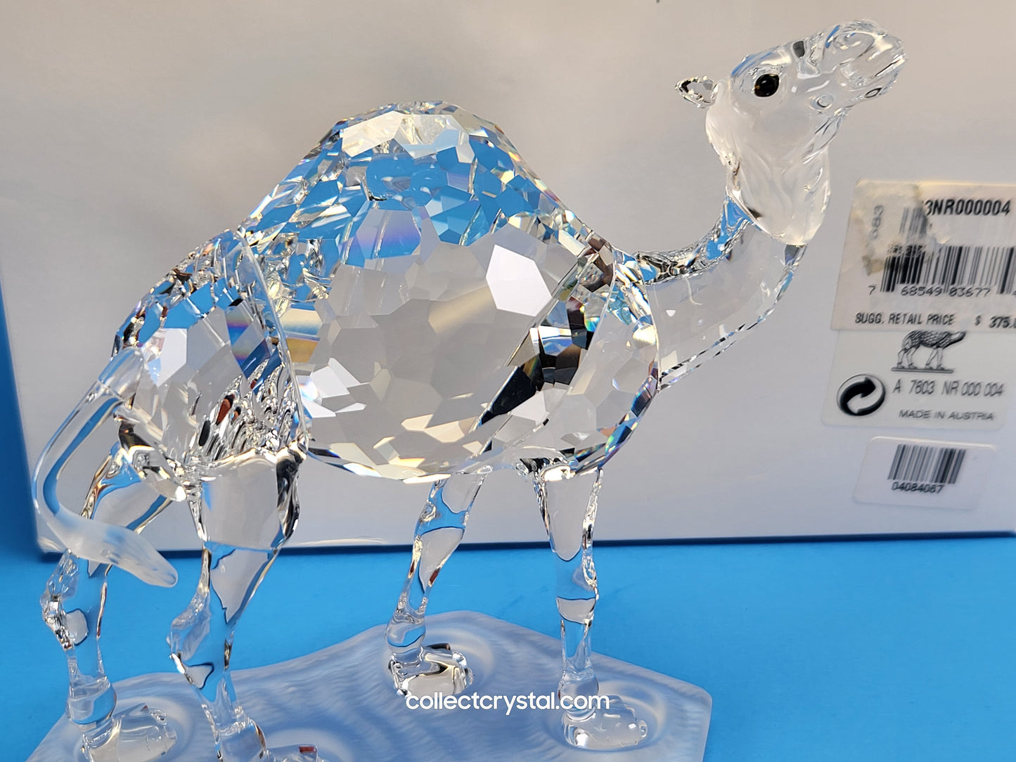 CAMEL 247683