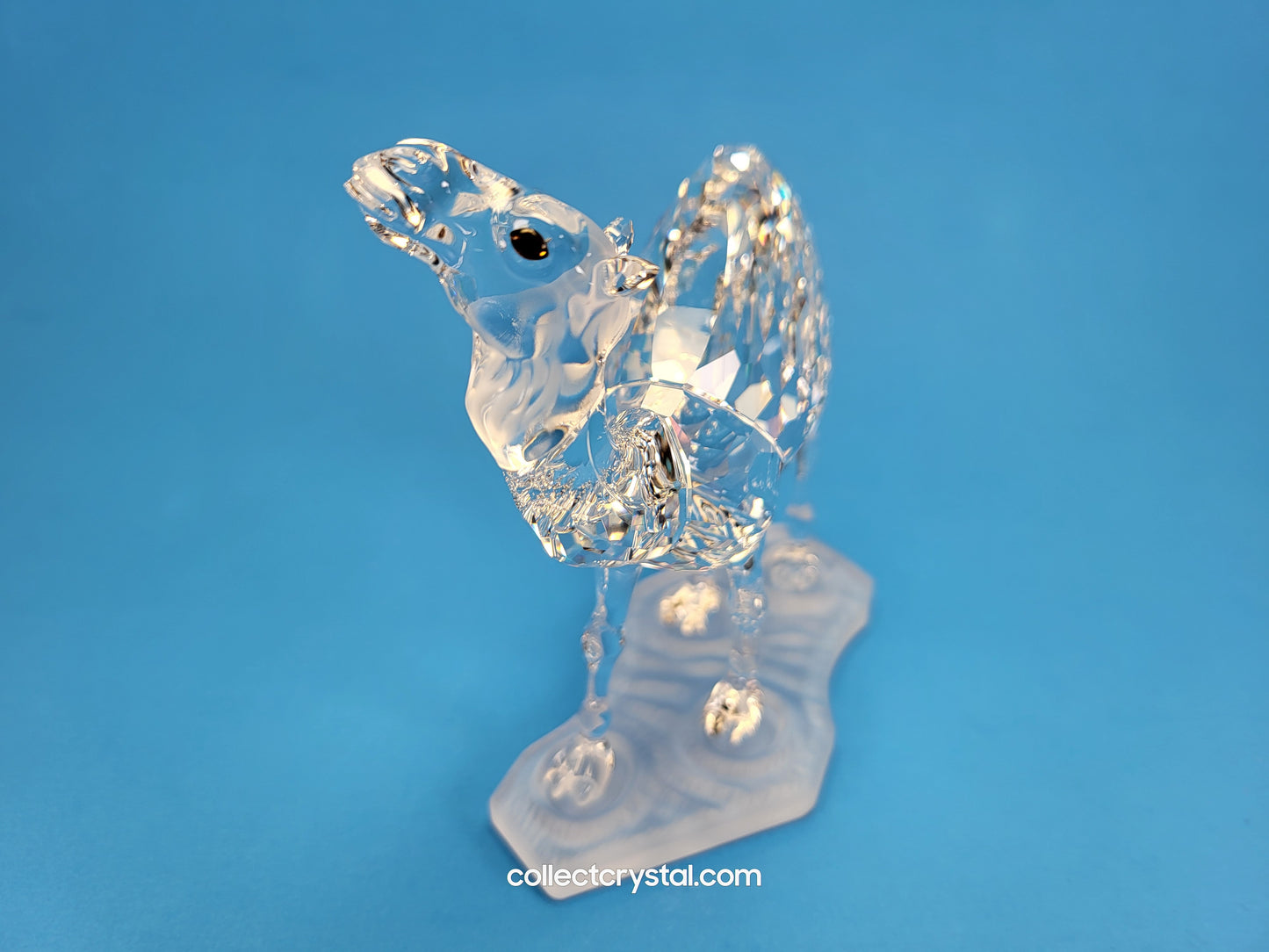 CAMEL 247683
