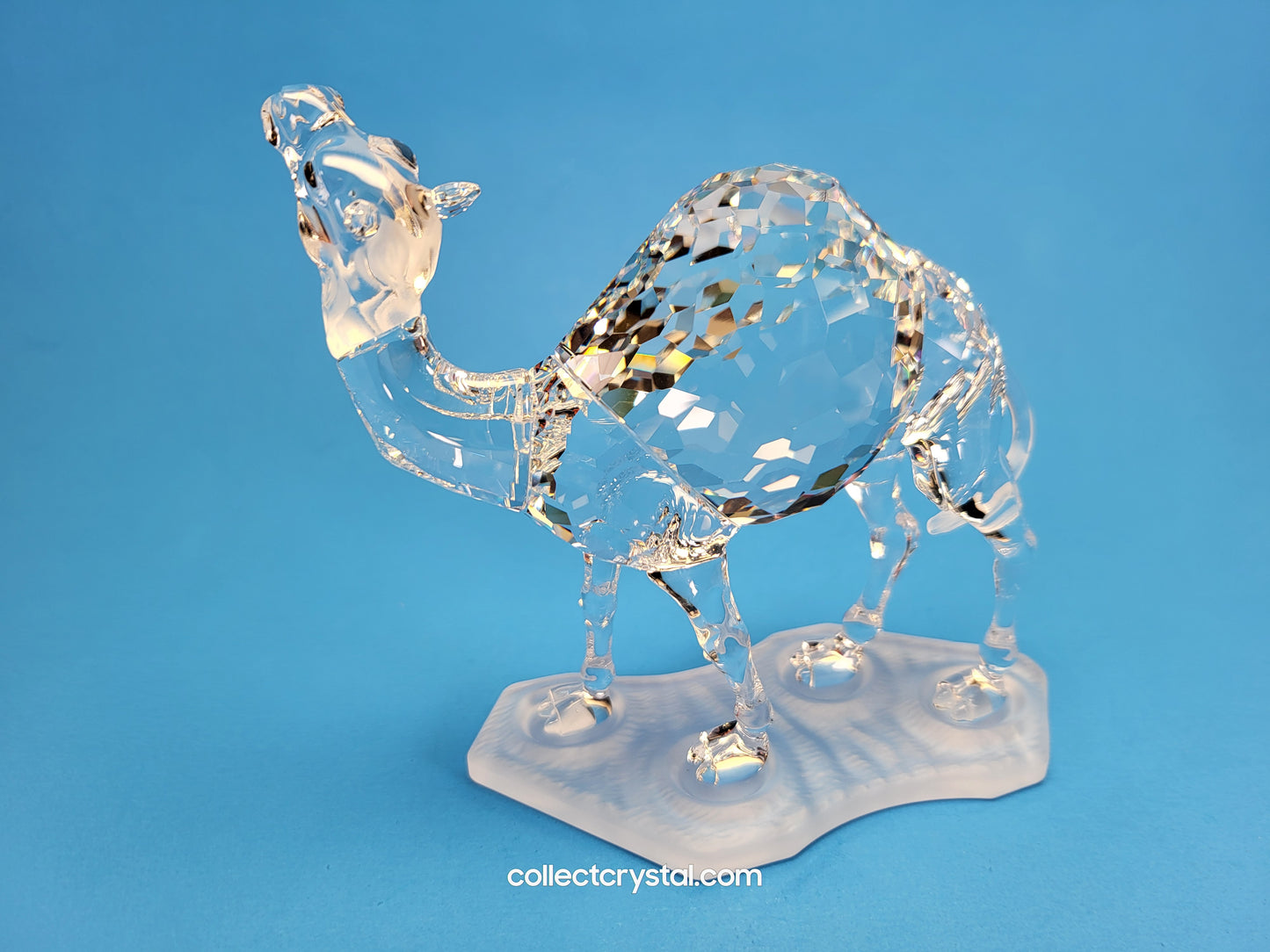 CAMEL 247683