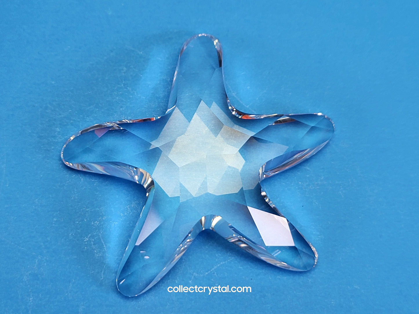 Wonders of the sea accessory Starfish 191690