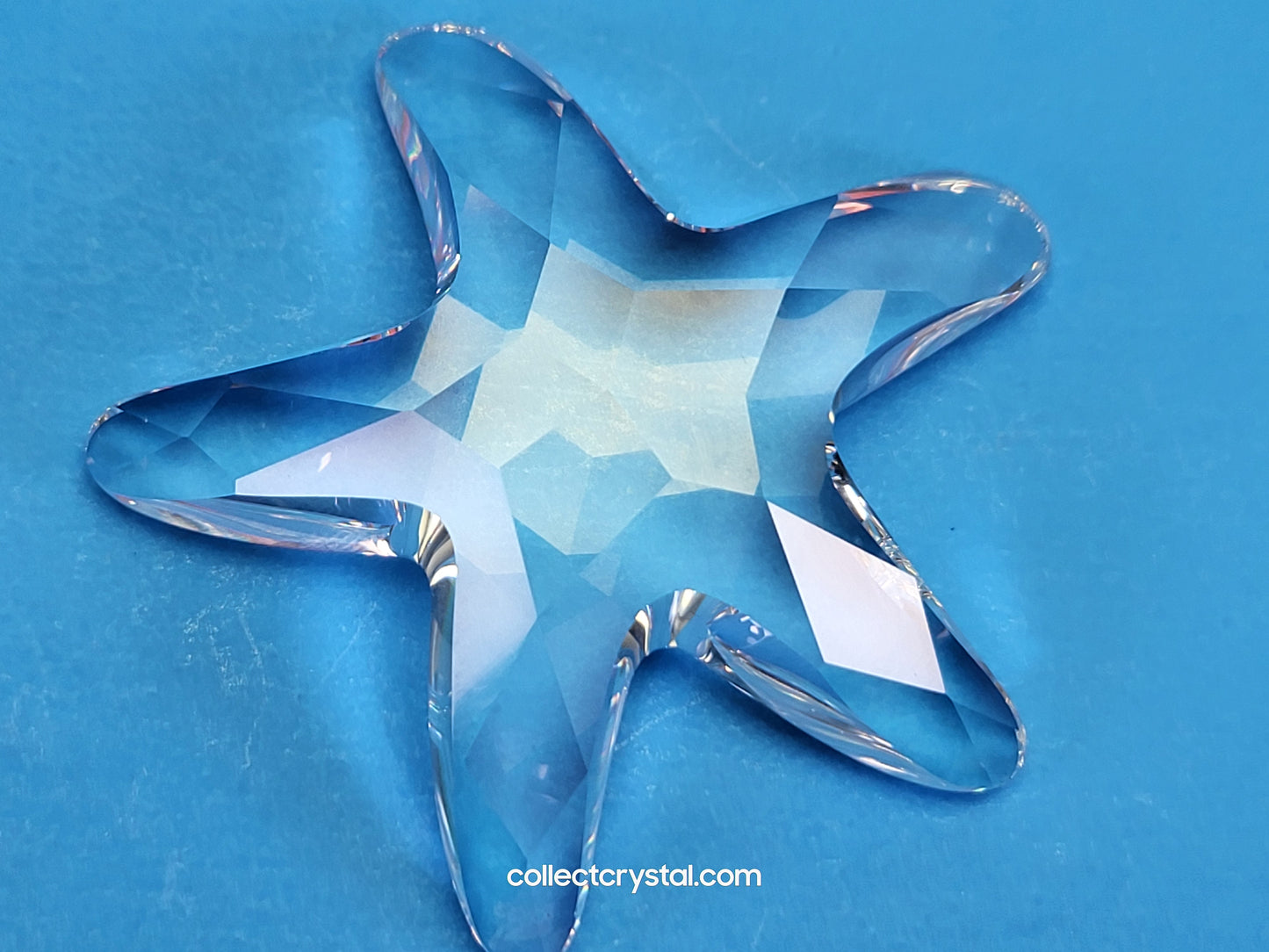 Wonders of the sea accessory Starfish 191690
