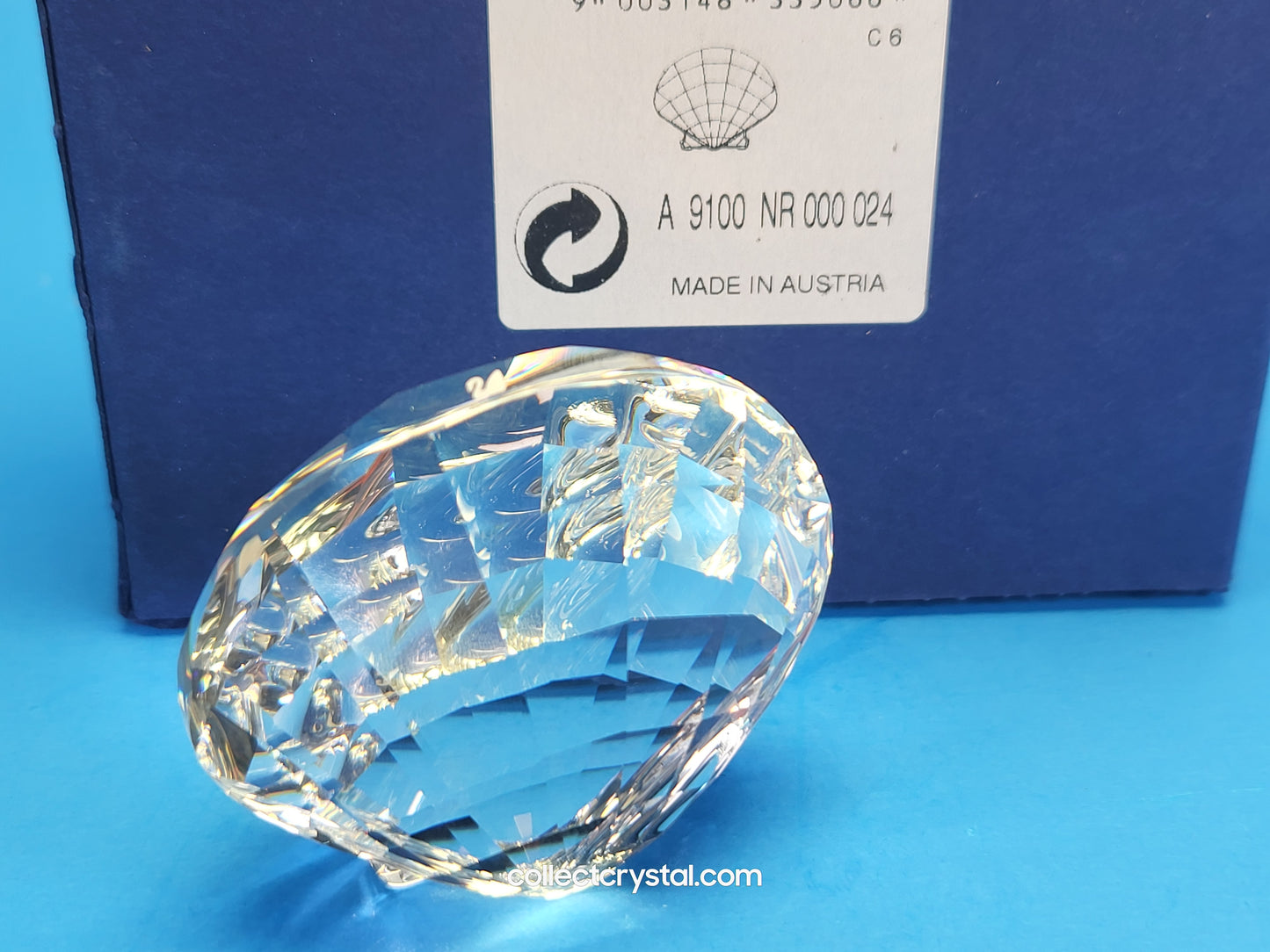 Wonders of the sea accessory scallop sea shell 833506