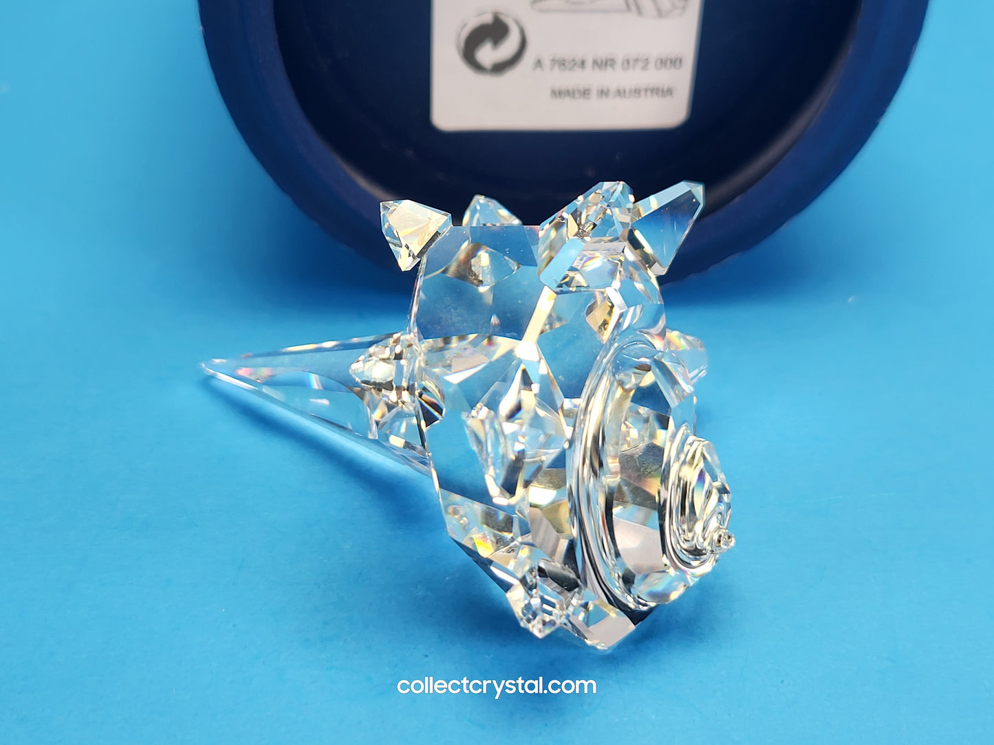SOUTH SEA SHELL 160798
