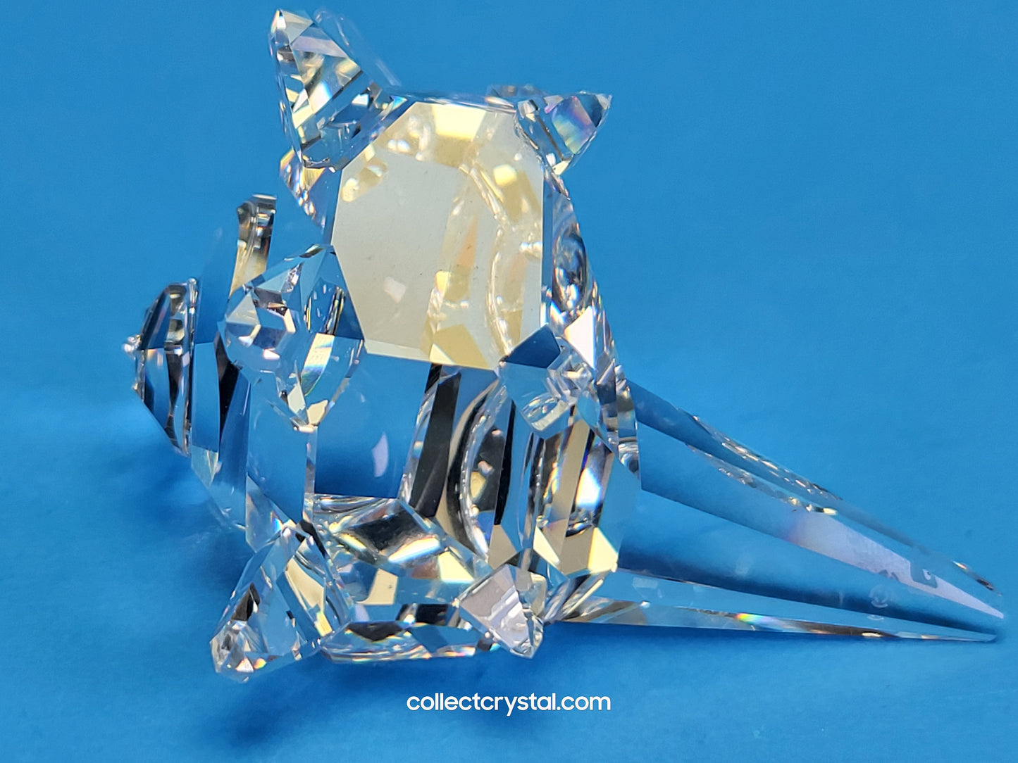 SOUTH SEA SHELL 160798