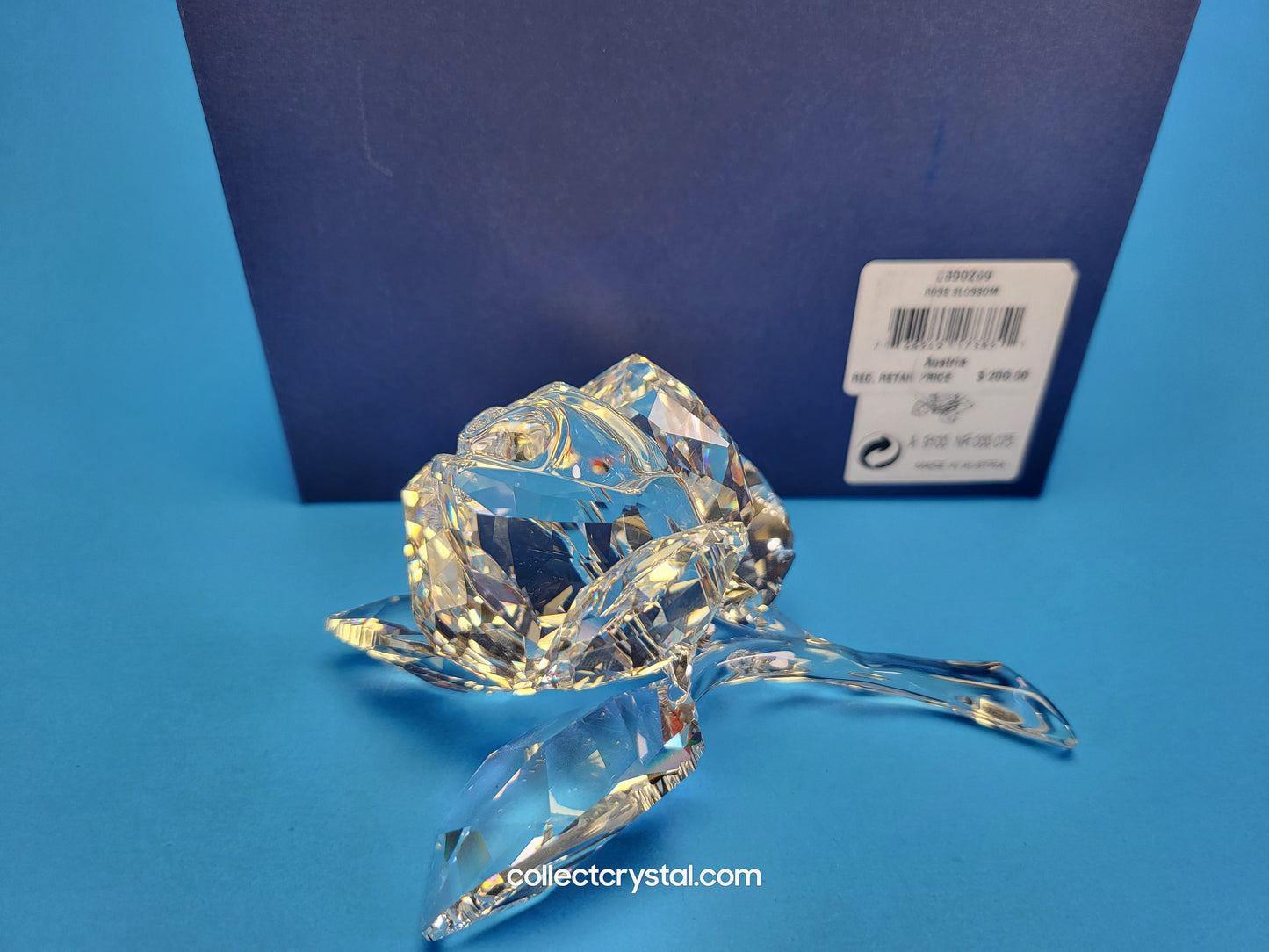 ROSE BLOSSOM 890289