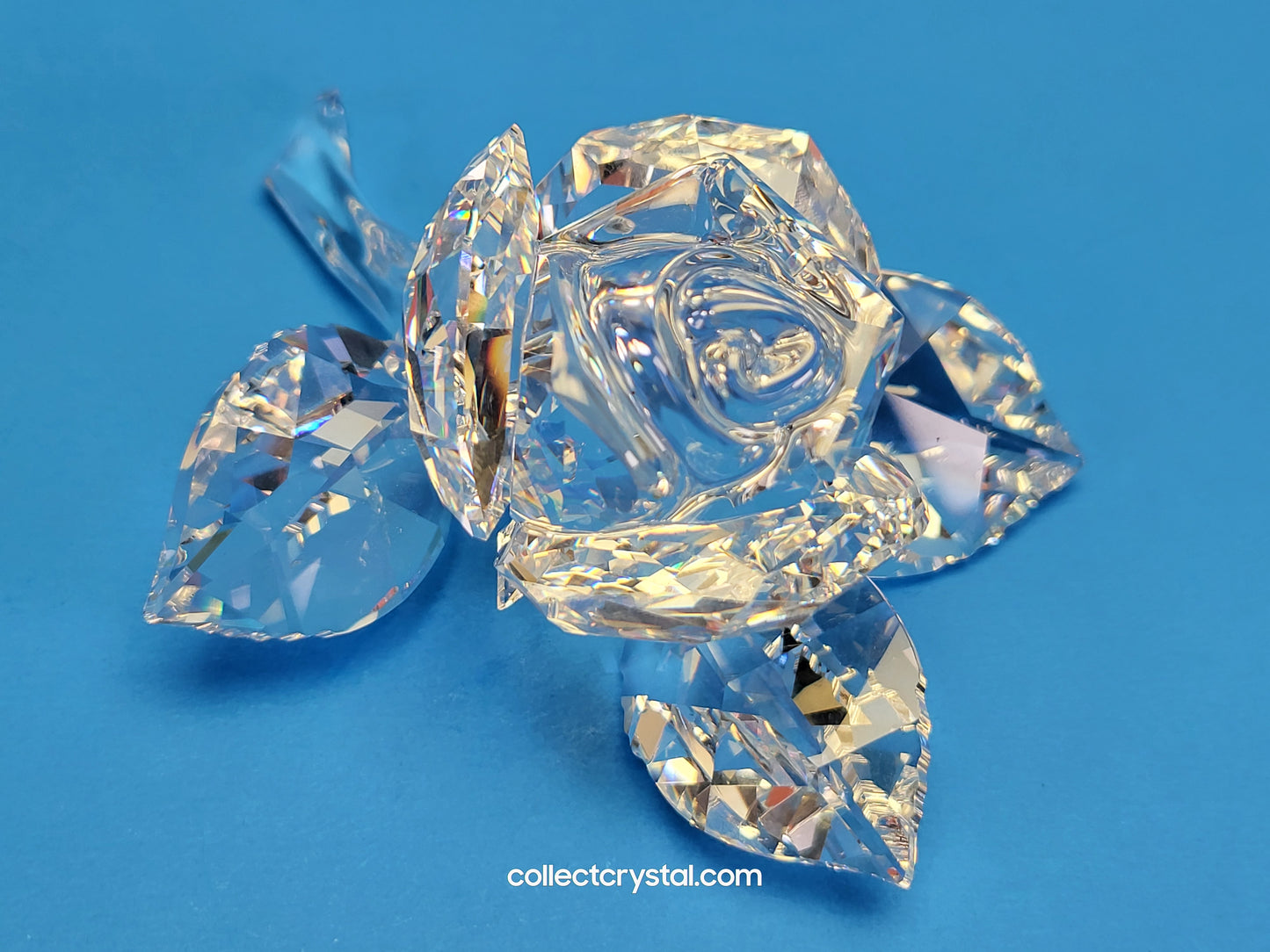 ROSE BLOSSOM 890289