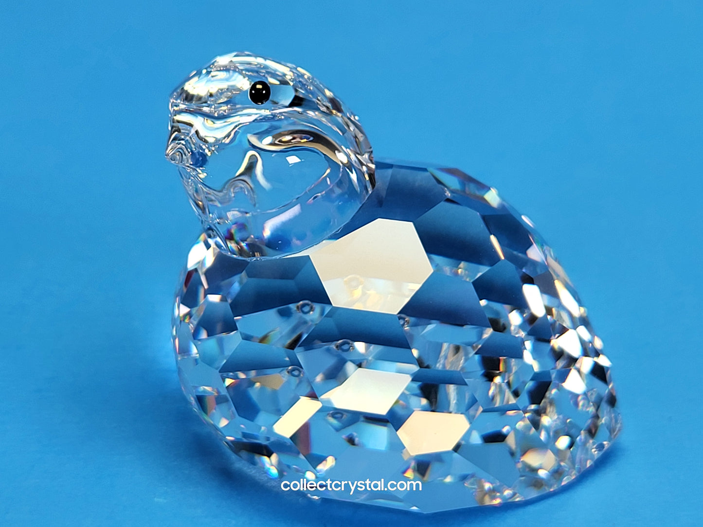 PARTRIDGE 014468