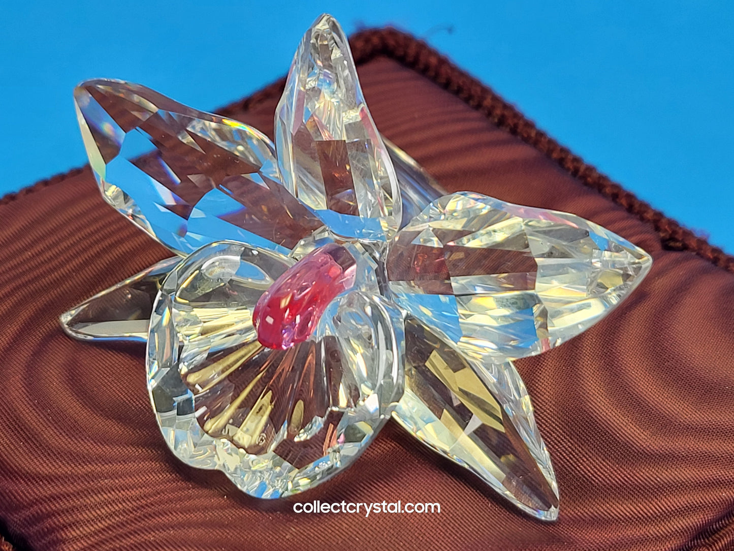 ORCHID – light pink CENTRE 200287