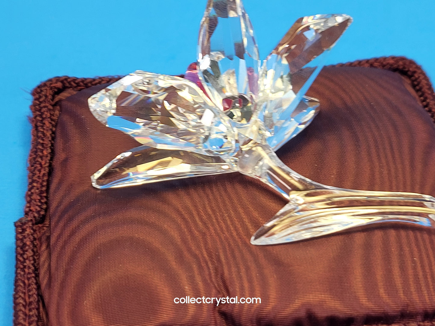 ORCHID – light pink CENTRE 200287