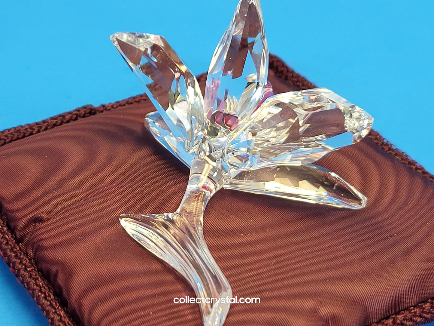 ORCHID – light pink CENTRE 200287
