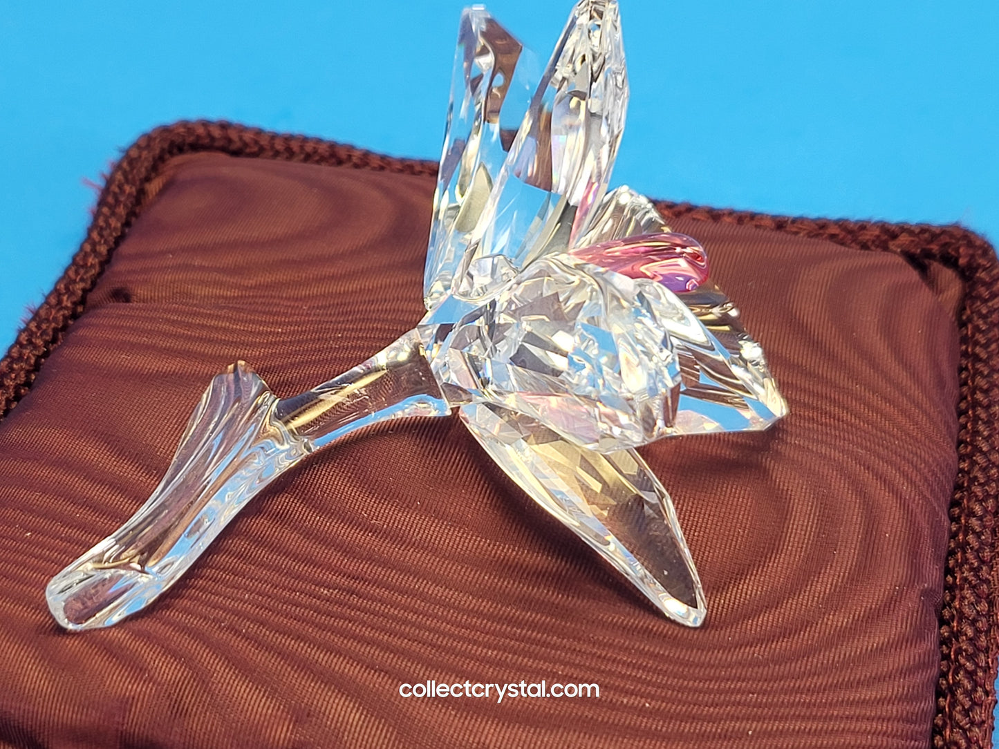 ORCHID – light pink CENTRE 200287