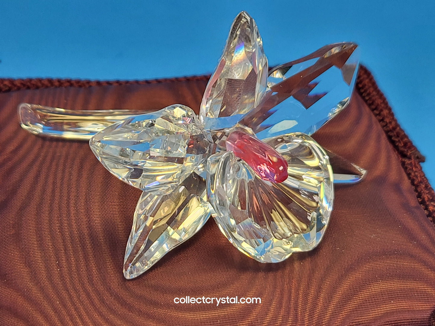 ORCHID – light pink CENTRE 200287