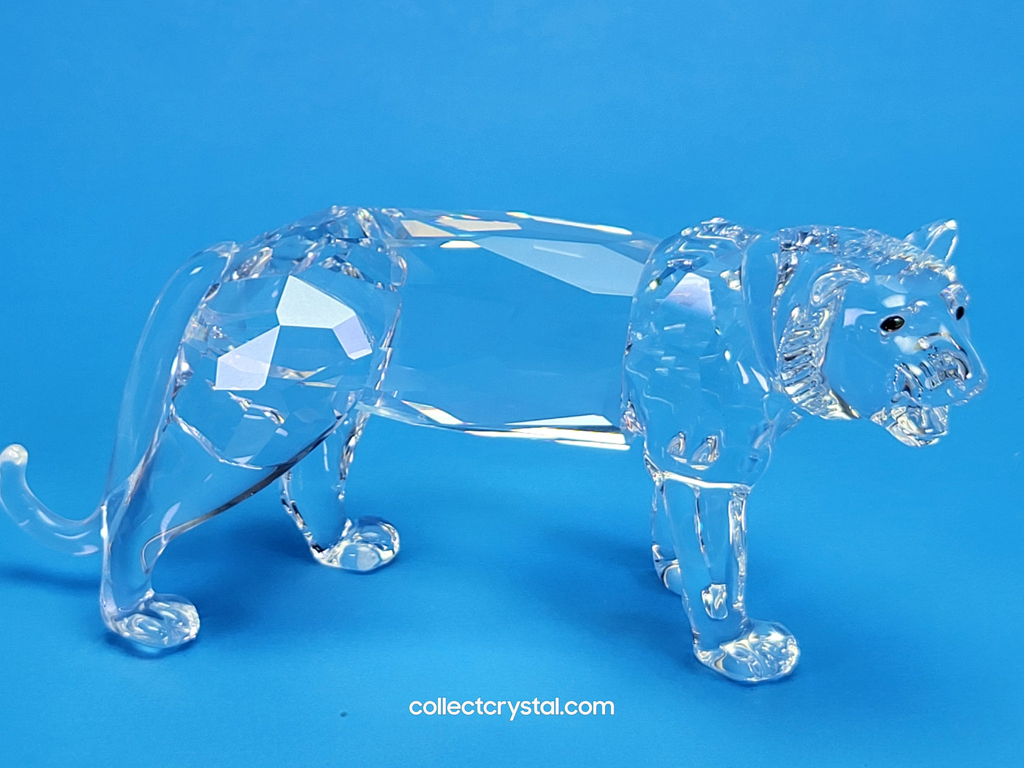 Tiger Cat Lion # 220470