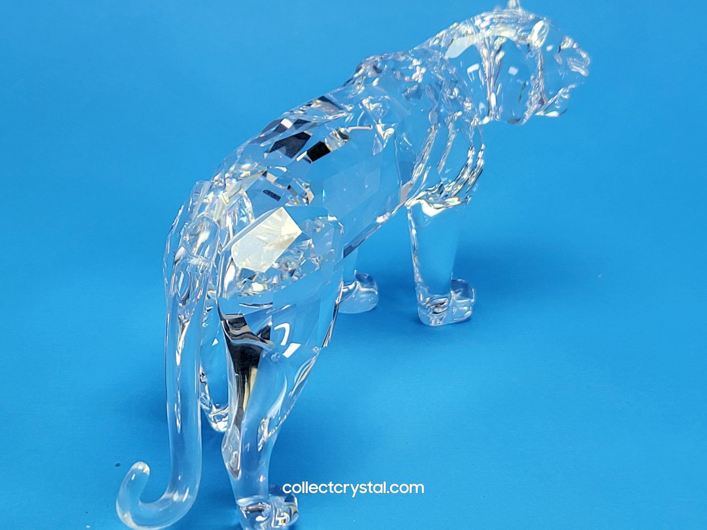 Tiger Cat Lion # 220470