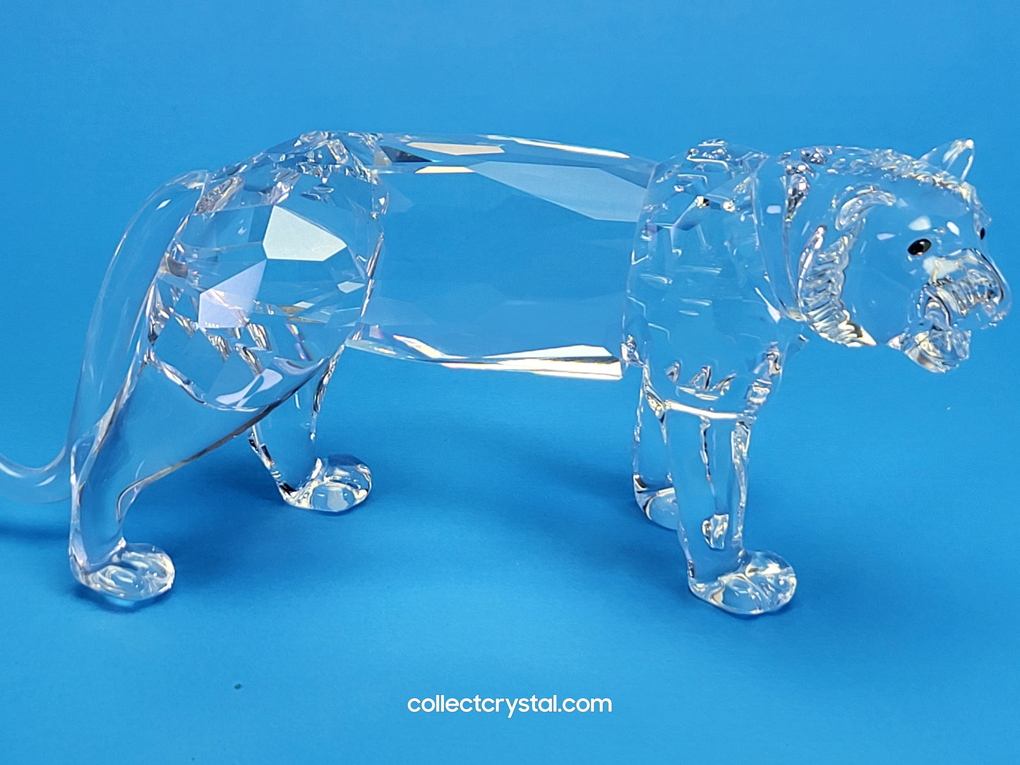 Tiger Cat Lion # 220470