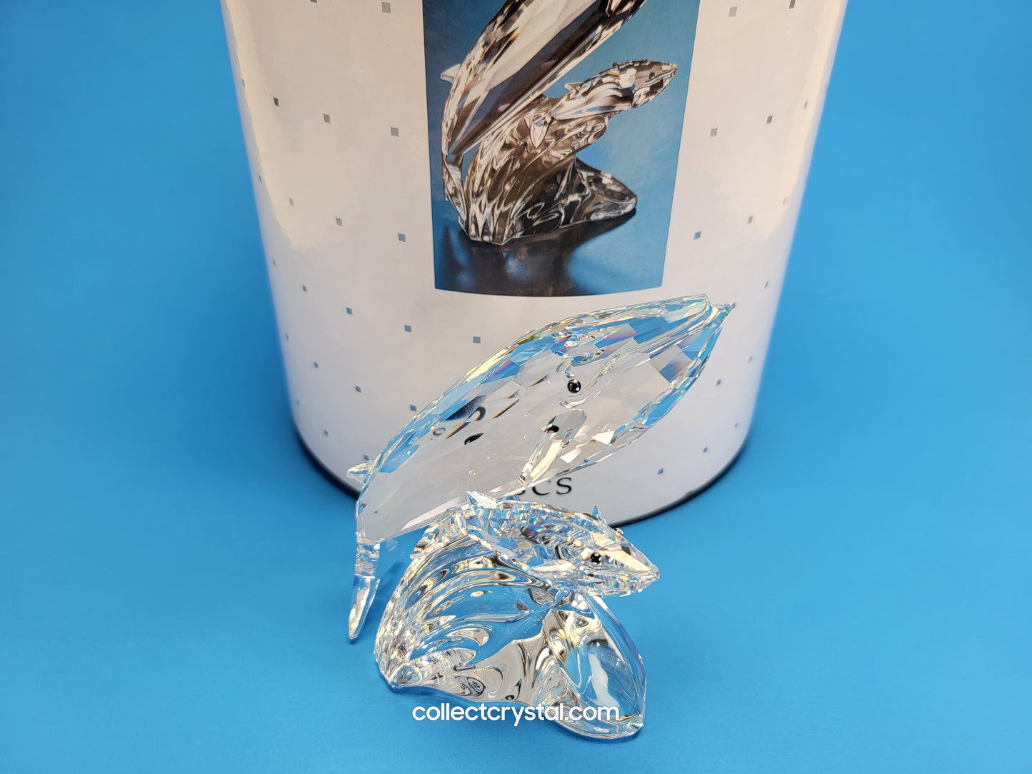 WHALES – SCS 1992 ANNUAL EDITION Care for Me # 164614