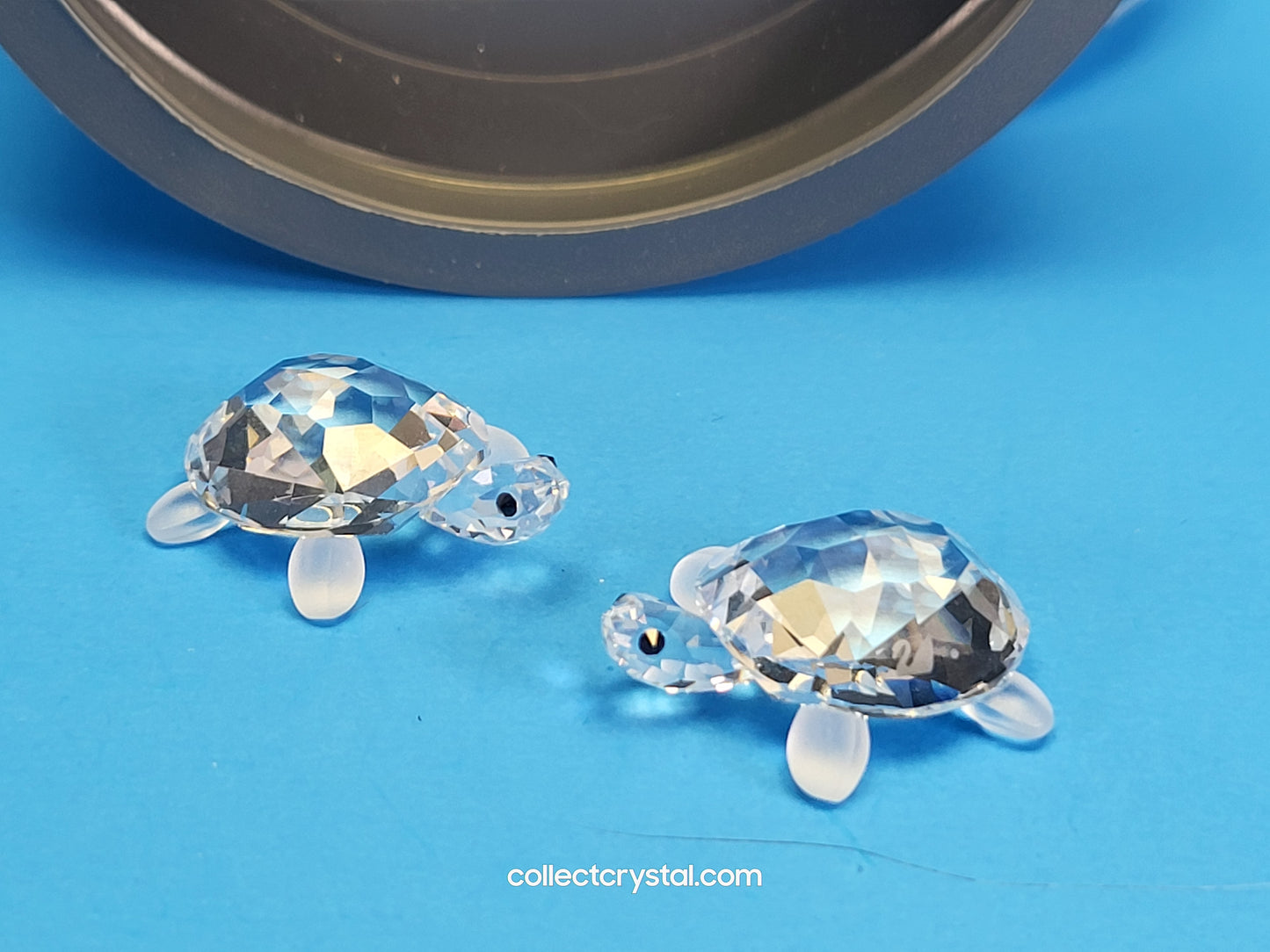 TORTOISES BABY Turtles Set of 2 # 220960