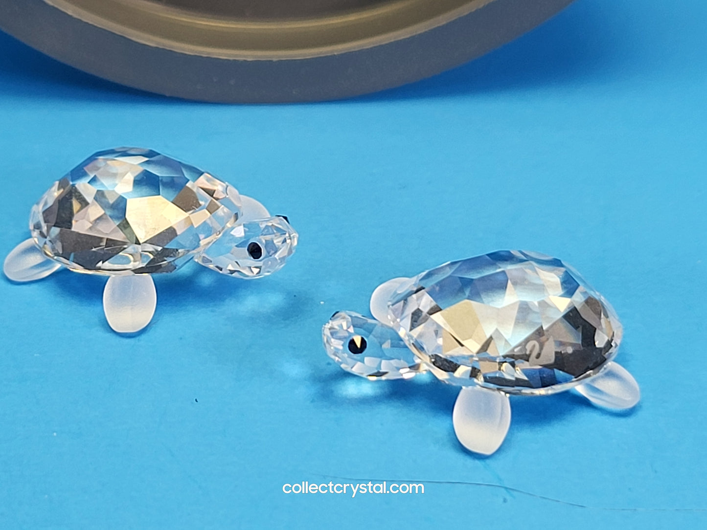 TORTOISES BABY Turtles Set of 2 # 220960