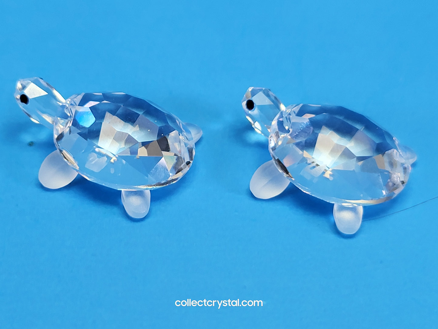 TORTOISES BABY Turtles Set of 2 # 220960