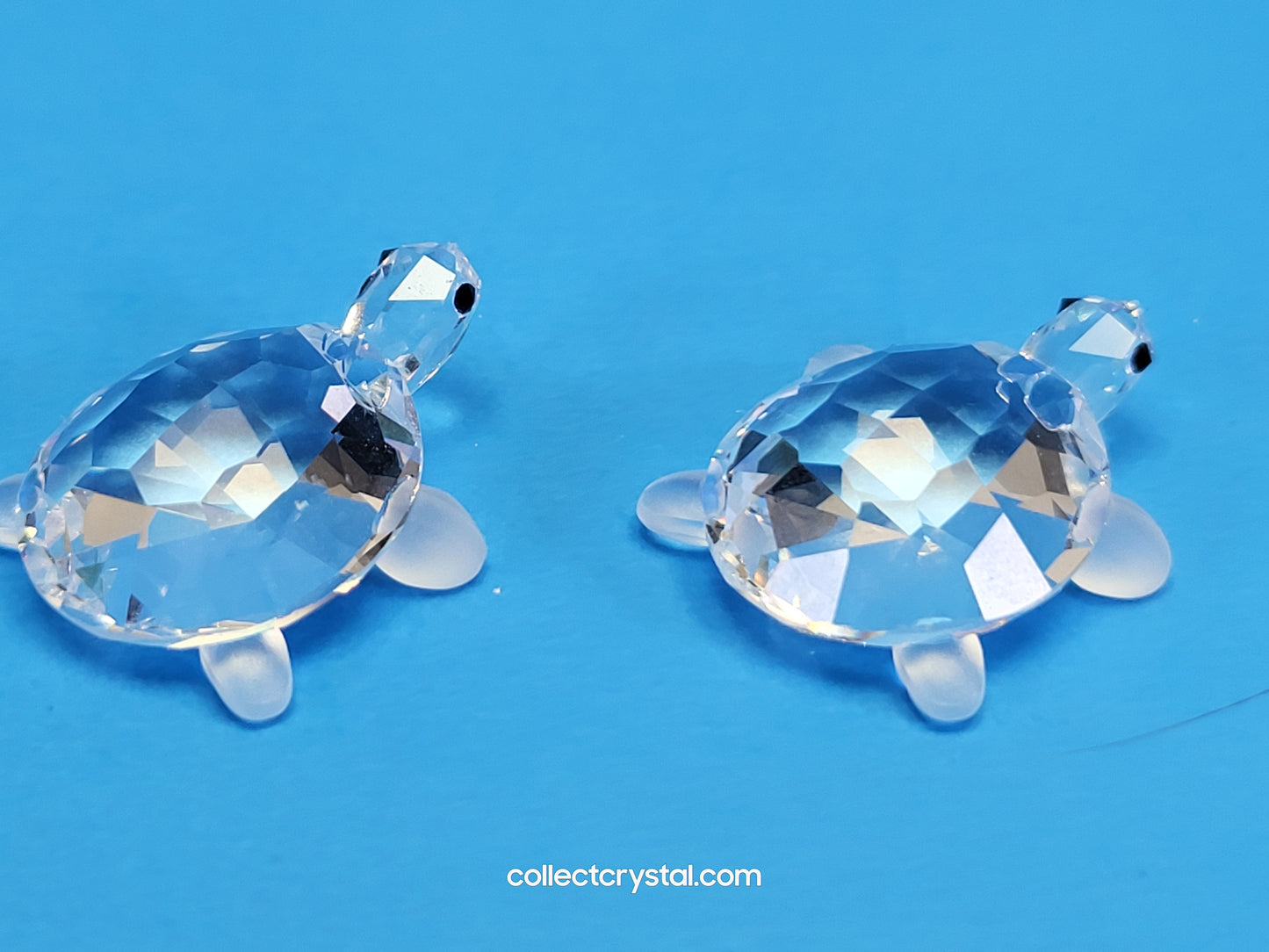 TORTOISES BABY Turtles Set of 2 # 220960